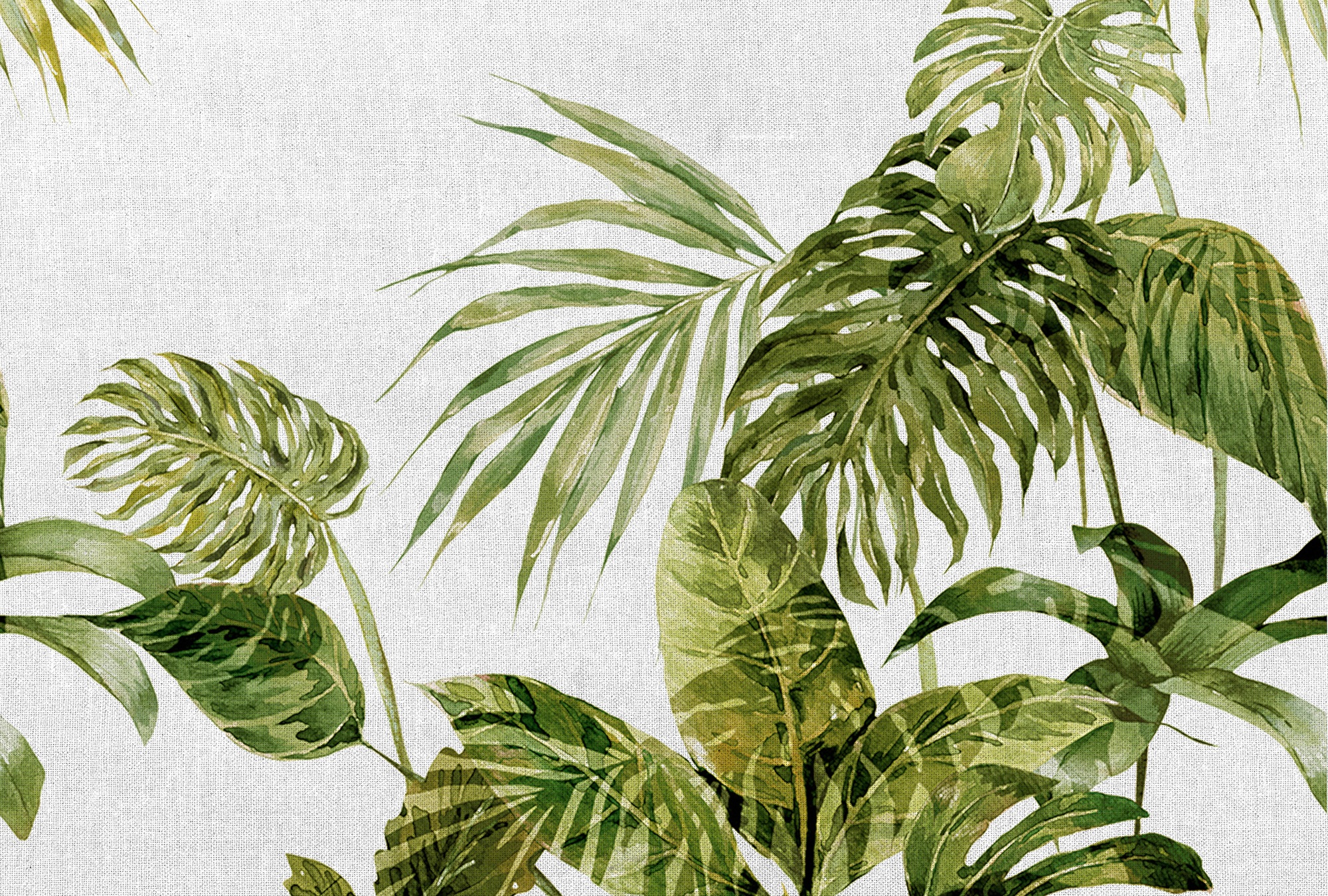 Architects Paper Fototapete »Atelier 47 Tropical Leaves Artwork 1« botanisc günstig online kaufen