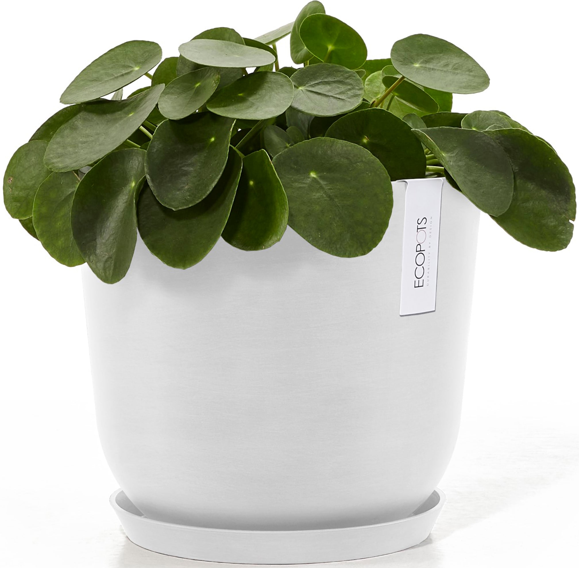 ECOPOTS Blumentopf »Oslo 25 + Wassersystem Weiß«, für innen und außen: frostsicher, bruchsicher und lichtbeständig