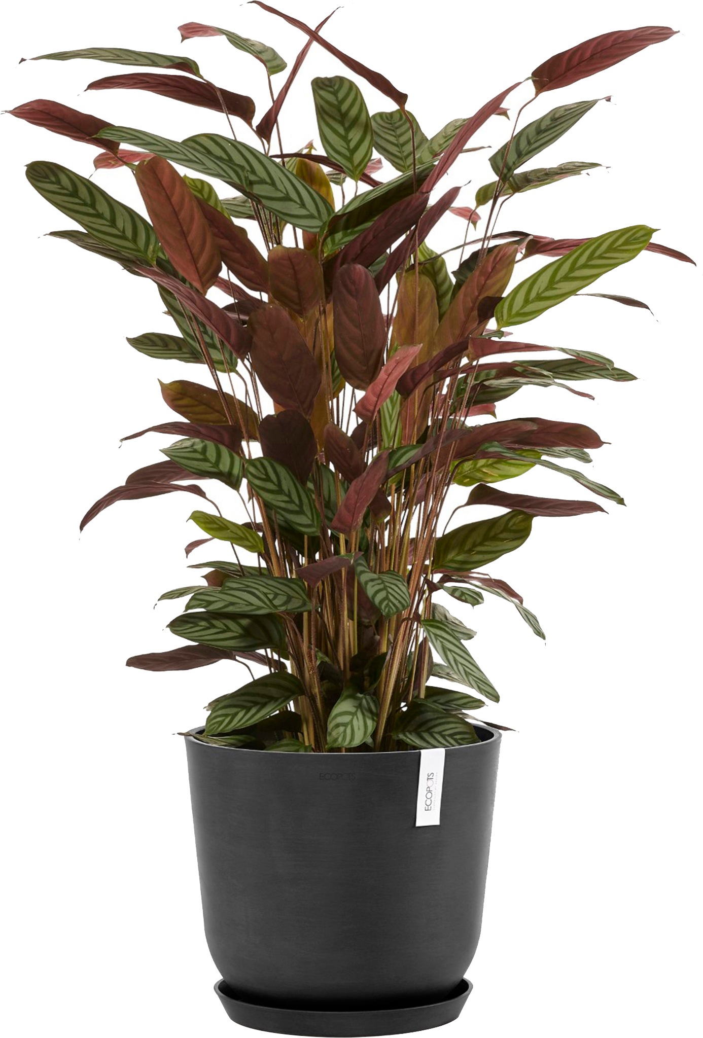 ECOPOTS Blumentopf »Oslo 35 Dunkelgrau«, für innen und außen: frostsicher, bruchsicher und lichtbeständig