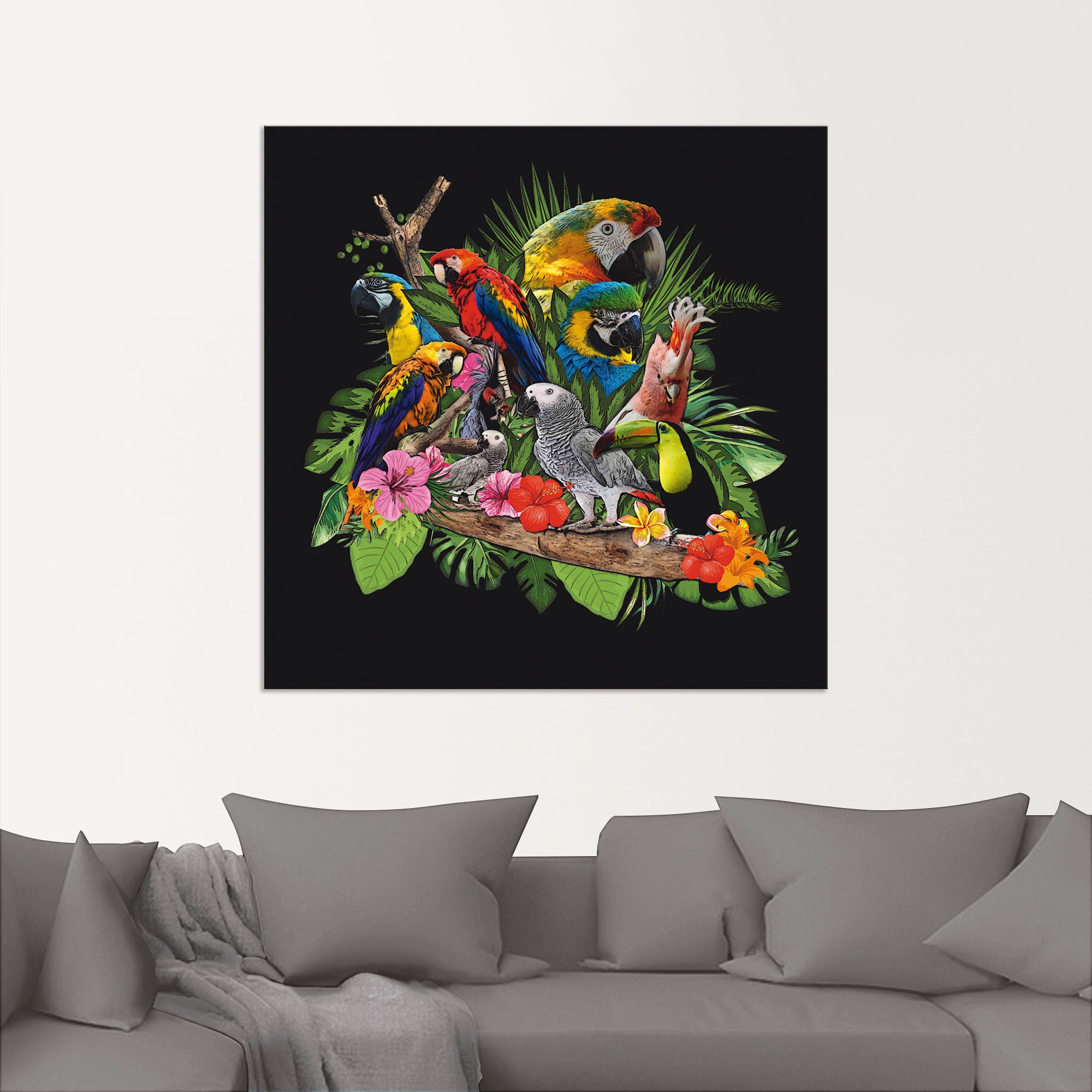 Artland Wandbild »Papageien Graupapagei Kakadu Dschungel«, Vögel, (1 St.), als Alubild, Outdoorbild, Leinwandbild, Poster, Wandaufkleber