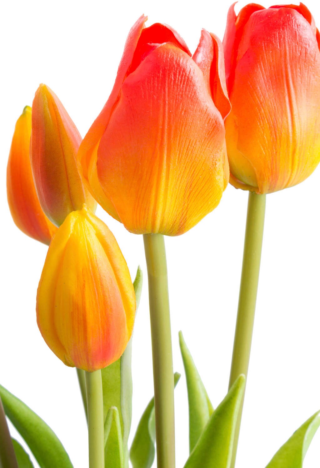 Botanic-Haus Kunstblume »Tulpenbündel«