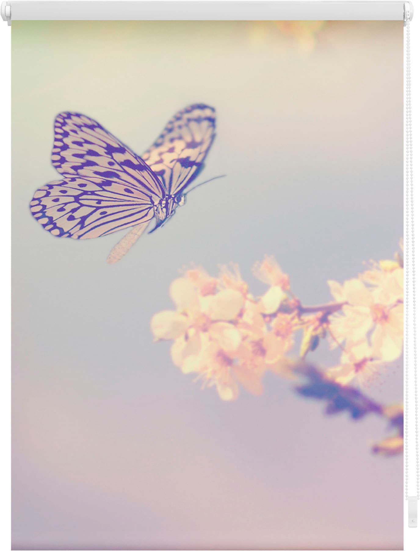 LICHTBLICK ORIGINAL Seitenzugrollo »Klemmfix bestellen Schmetterling«, bequem ohne und Lichtschutz, freihängend, schnell bedruckt Bohren, Motiv