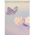 LICHTBLICK ORIGINAL Seitenzugrollo »Klemmfix Motiv Schmetterling«, Lichtschutz, ohne Bohren, freihängend, bedruckt