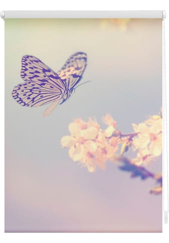 LICHTBLICK ORIGINAL Seitenzugrollo »Klemmfix Motiv Schmetterling«, Lichtschutz, ohne... kaufen