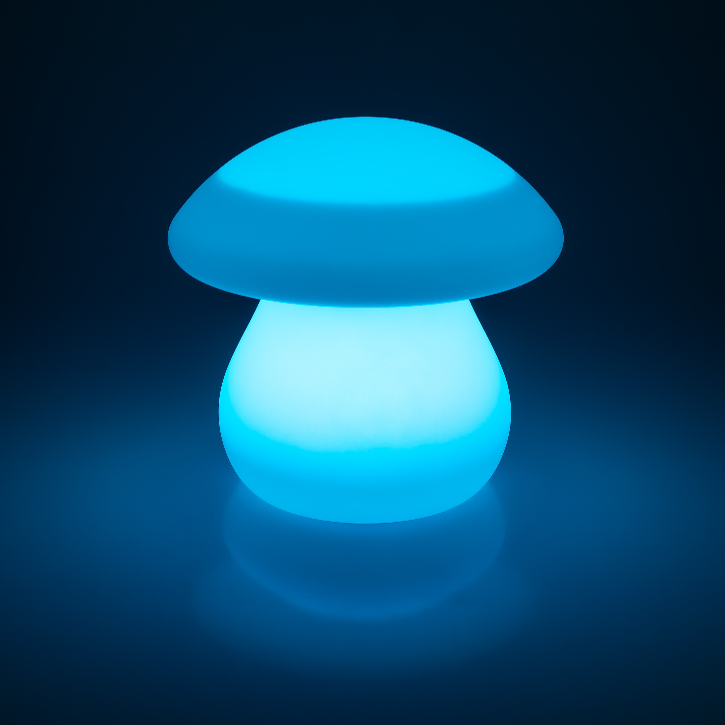 my home LED Solarleuchte »Elowyn, LED-Solar Pilz«, Leuchtmittel LED-Modul | LED fest integriert, mit Erdspieß und Fernbedienung
