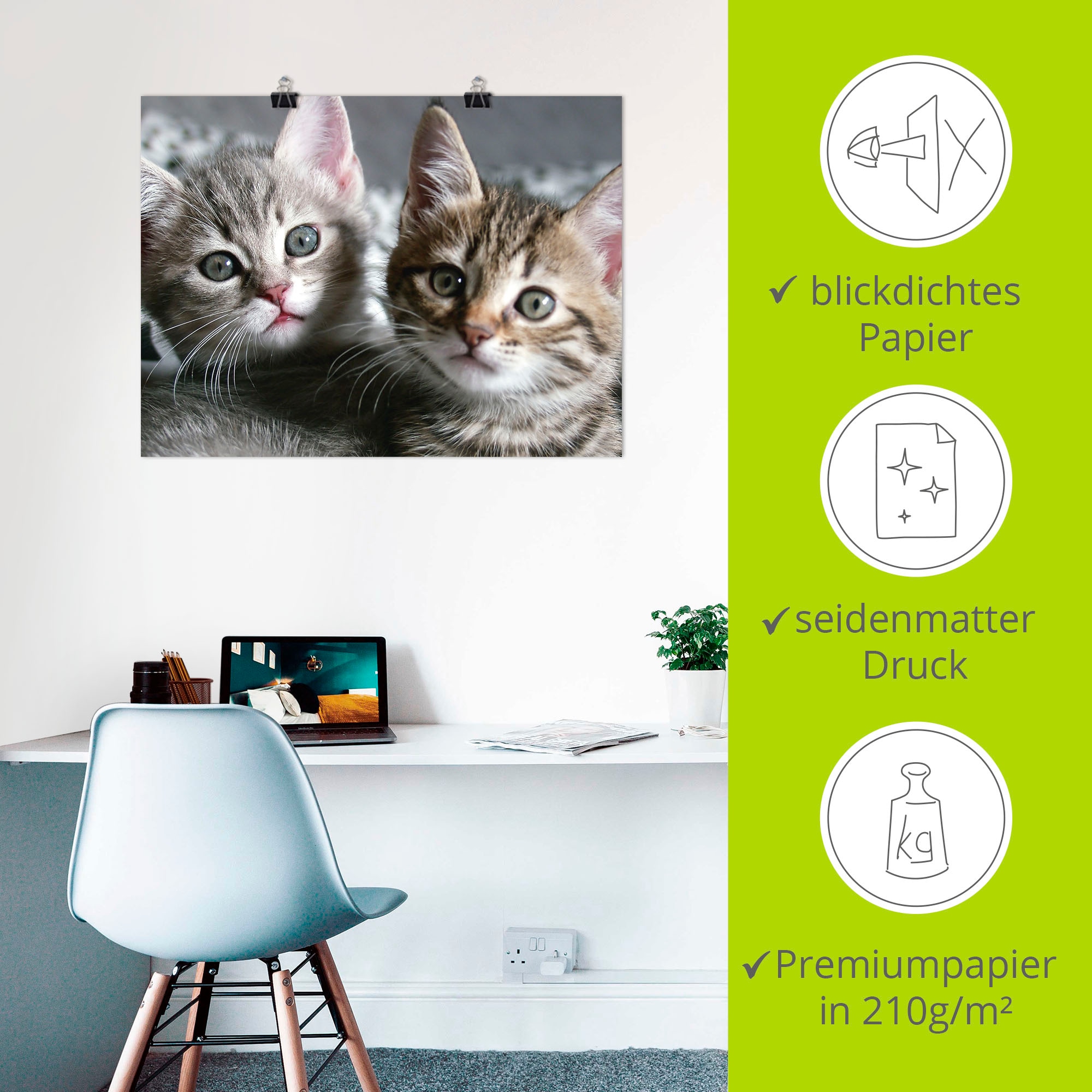 Artland Wandbild »Katze«, Haustiere, (1 St.), als Alubild, Outdoorbild, Leinwandbild, Poster, Wandaufkleber