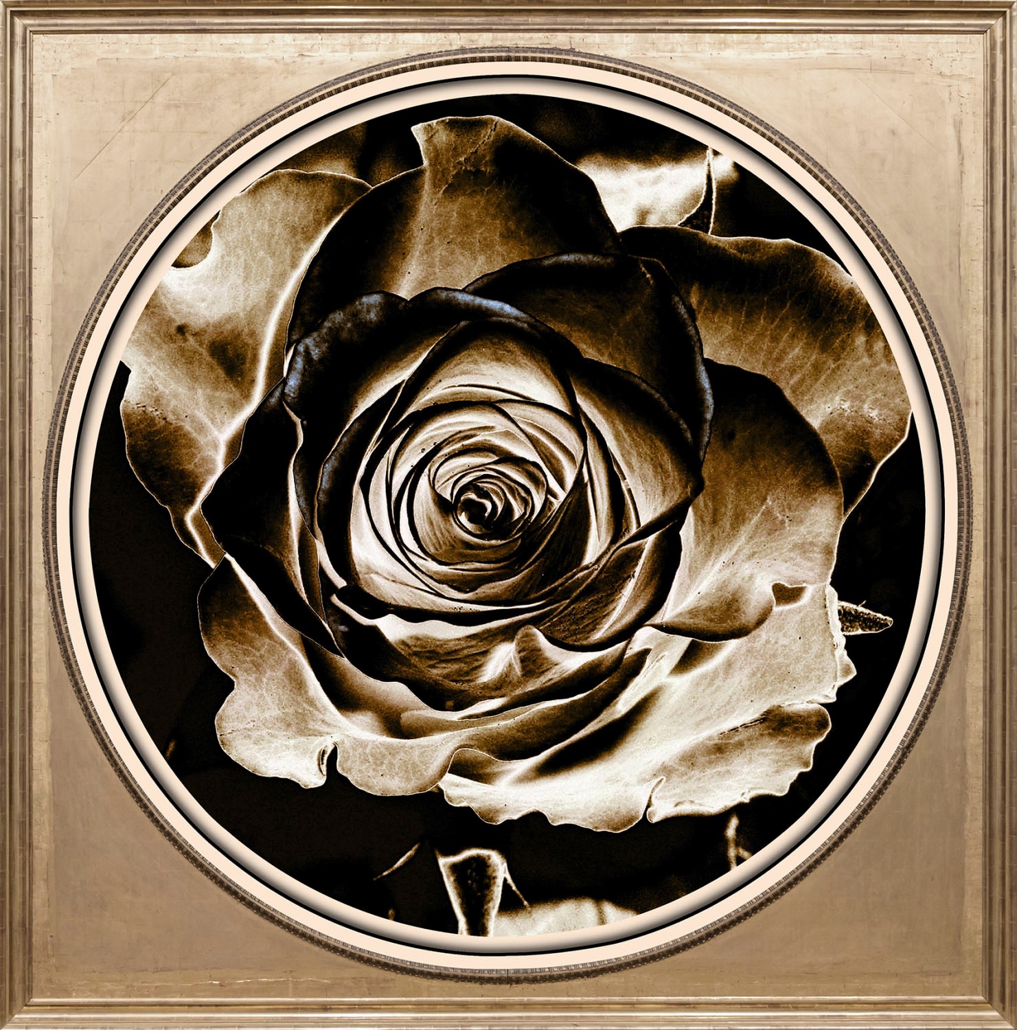 queence Acrylglasbild »Rose«, Blumen-Blumenbilder-Kunst-Pflanzen-Pflanzenbi günstig online kaufen