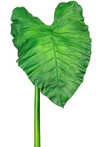 Creativ green Kunstzweig »Callablatt«, (1 St.) kaufen