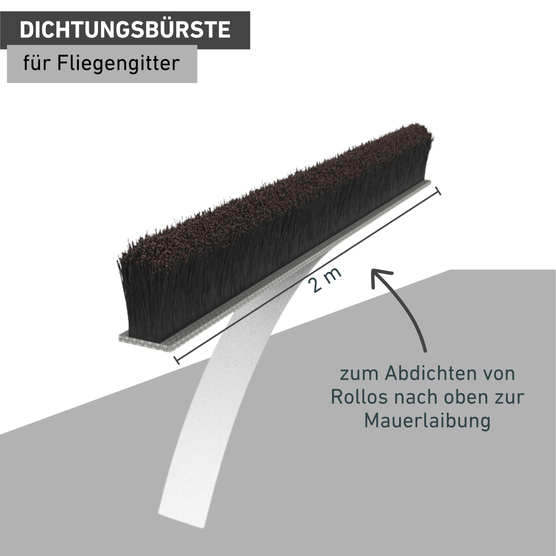 Windhager Fliegengitter-Gewebe »für Insektenschutz Rollofenster und Rahmensysteme, Dichtungsbürste 2 m« Packung, 1 Stk. tlg. Fliegengitter Zubehör, selbstklebender Schutz vor Insekten