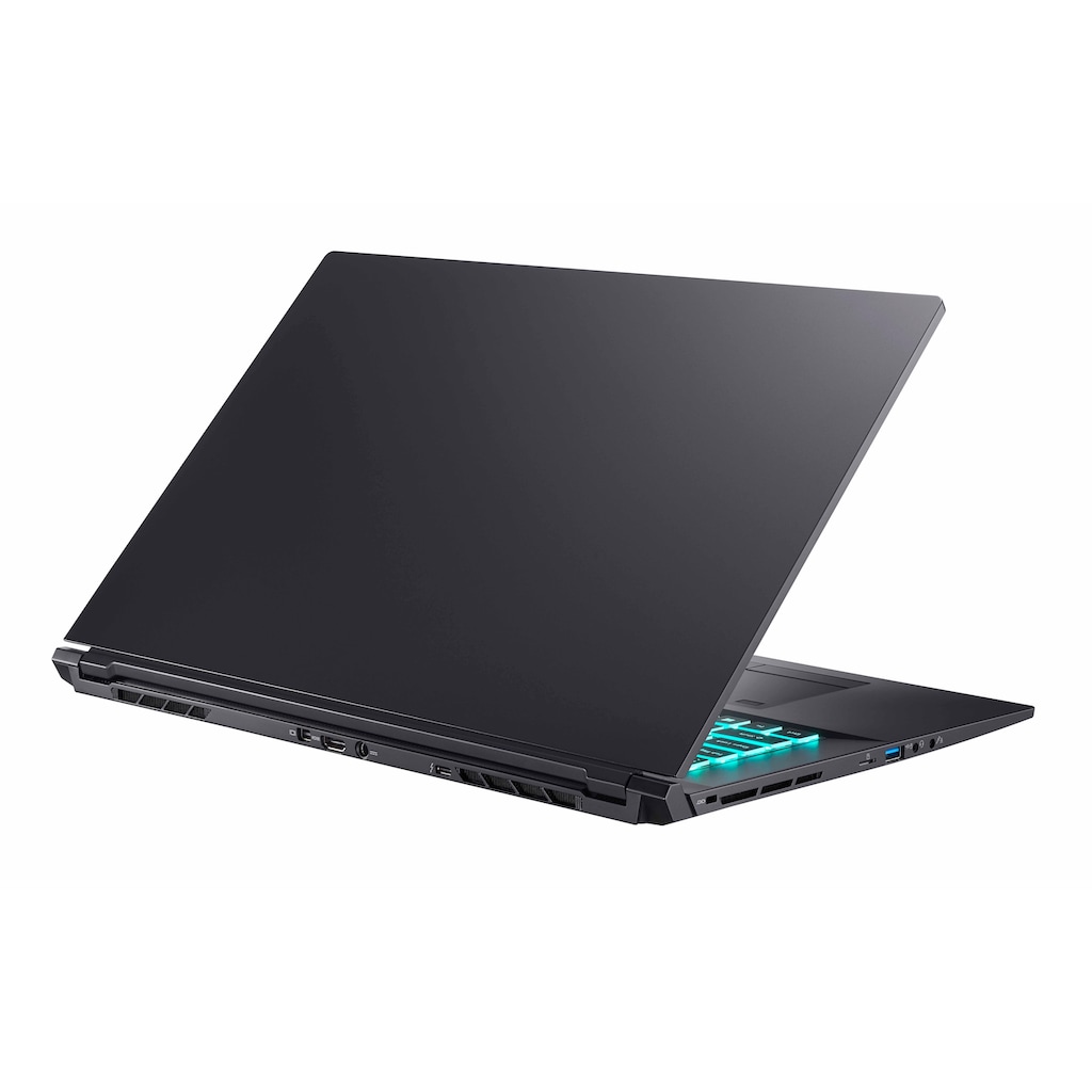 Hyrican Gaming-Notebook »Striker 1639«, 43,94 cm, / 17,3 Zoll, Intel, Core i7, GeForce RTX 3070 Max.Q, 1000 GB SSD