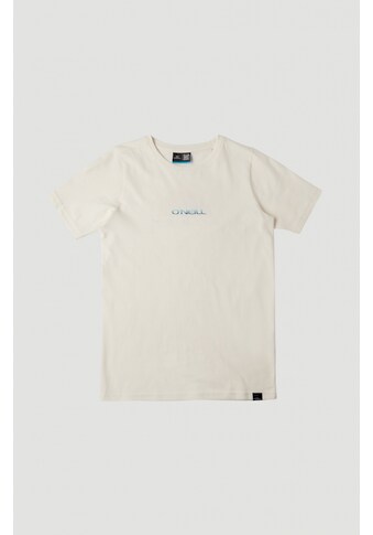 O'Neill T-Shirt »"RETRO SUNSET"« kaufen