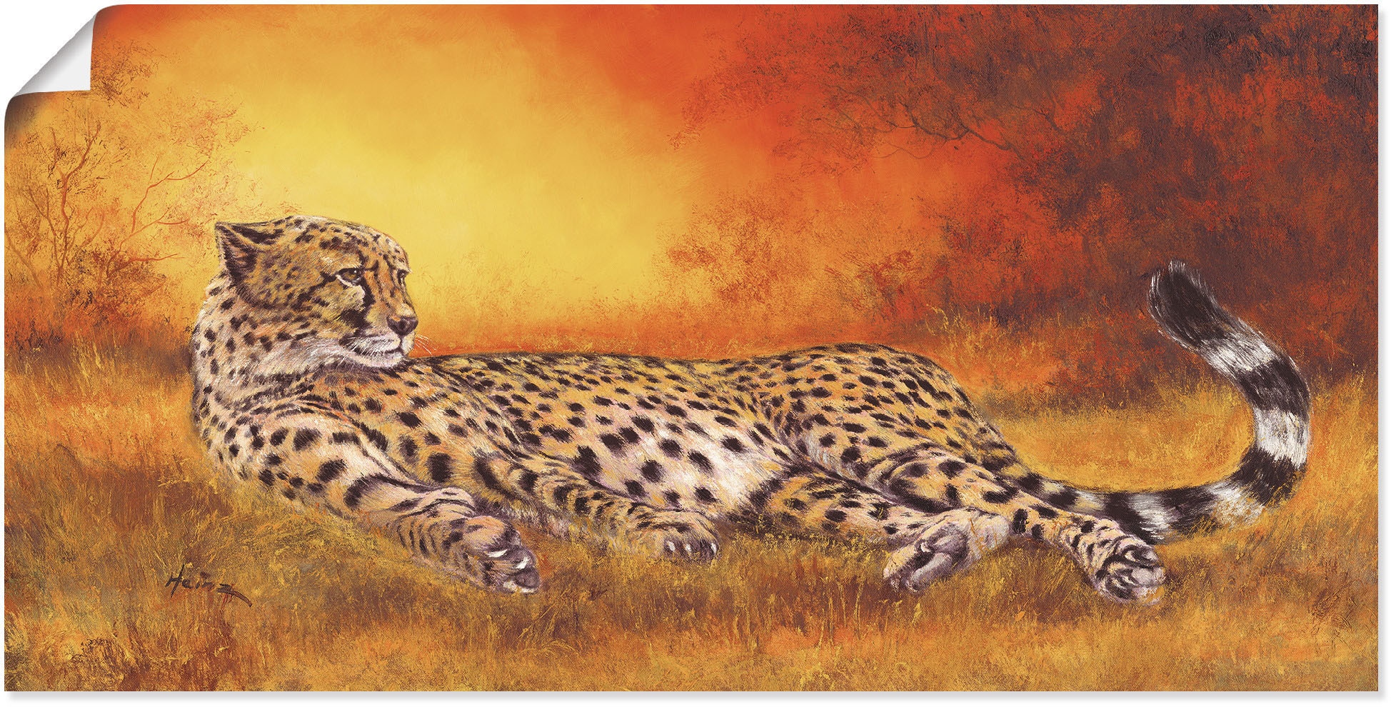 Artland Wandbild »Gepard«, Geparden Bilder, (1 St.), als Alubild, Outdoorbi günstig online kaufen