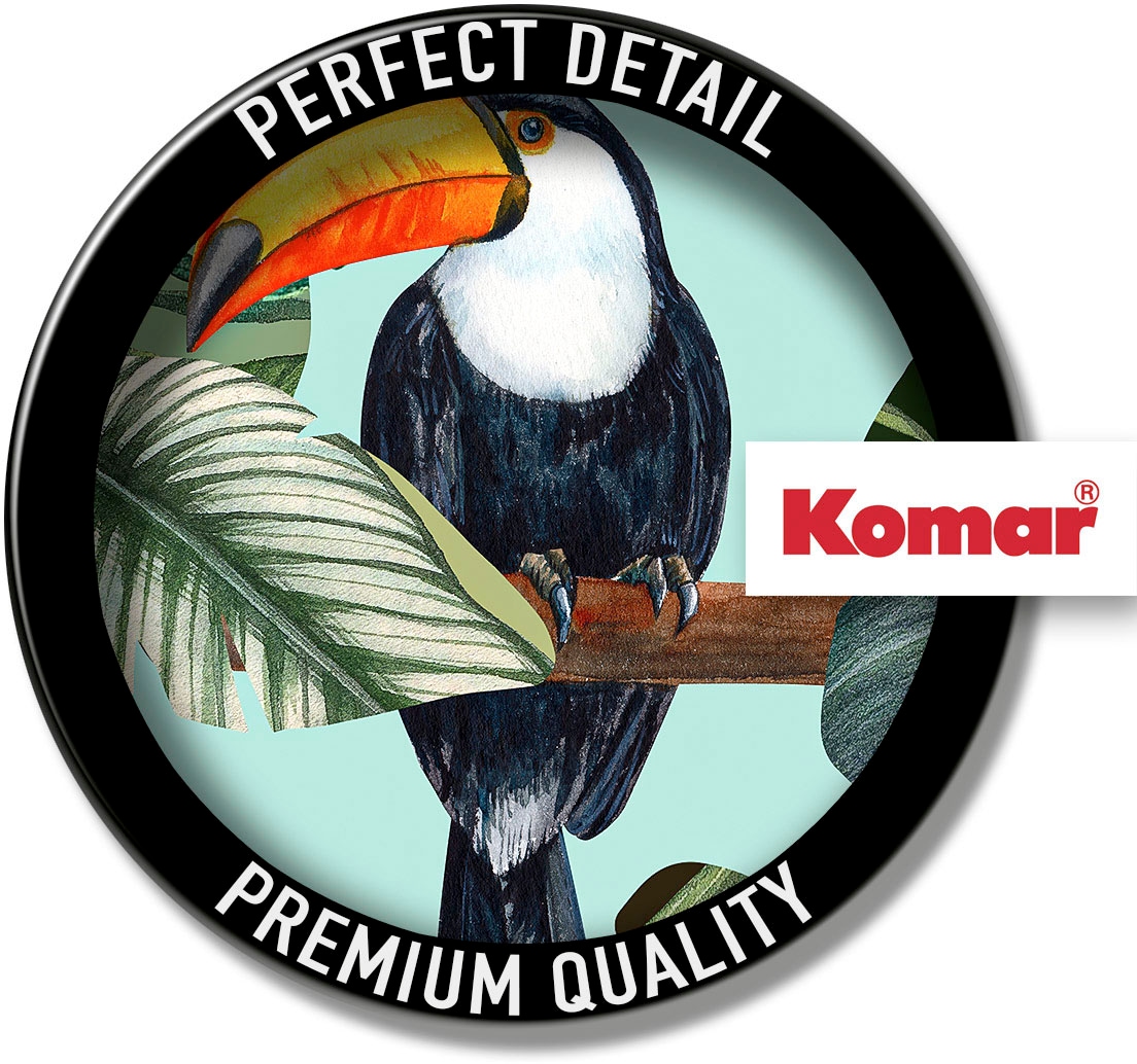 Komar Bild »Toco Toucan«, Natur, (1 St.), Wandbild zur Dekoration - ohne Rahmen