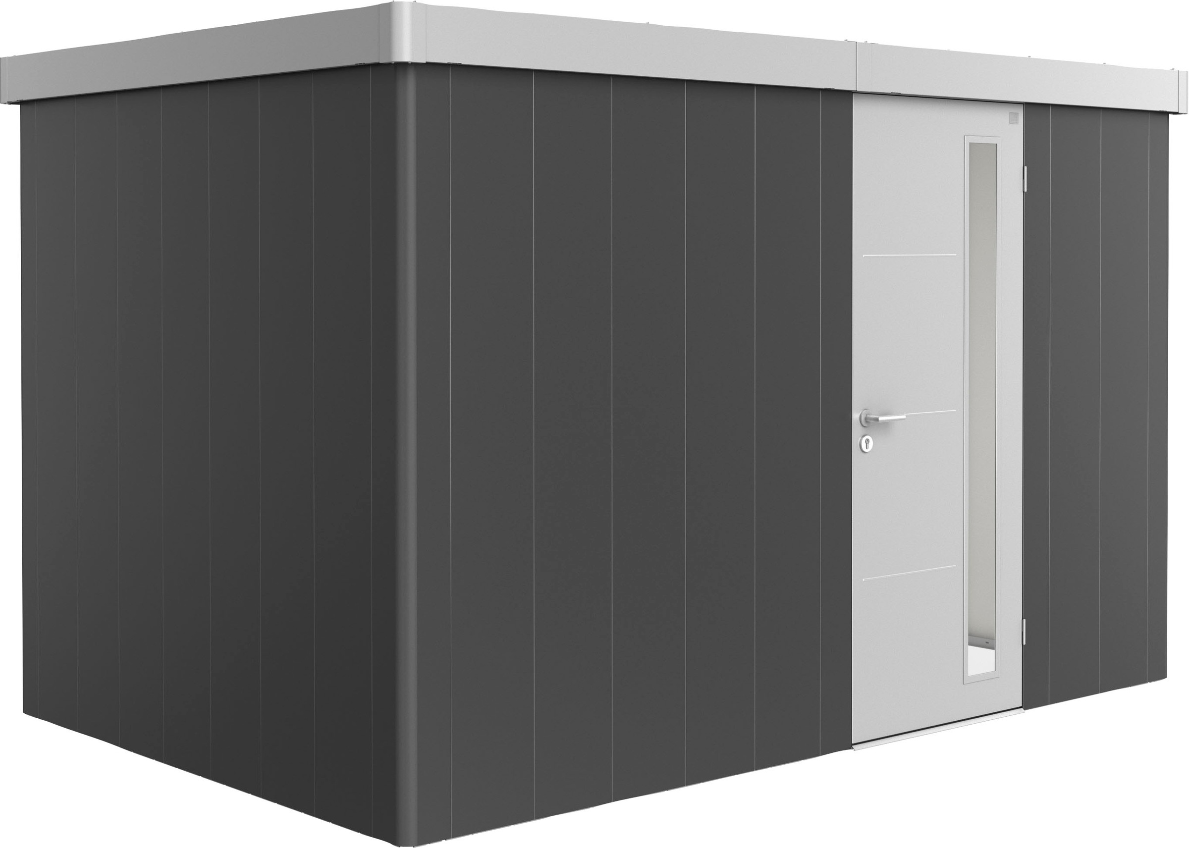Bild von Biohort Gerätehaus »Neo 2D Variante 3.1«, Metall