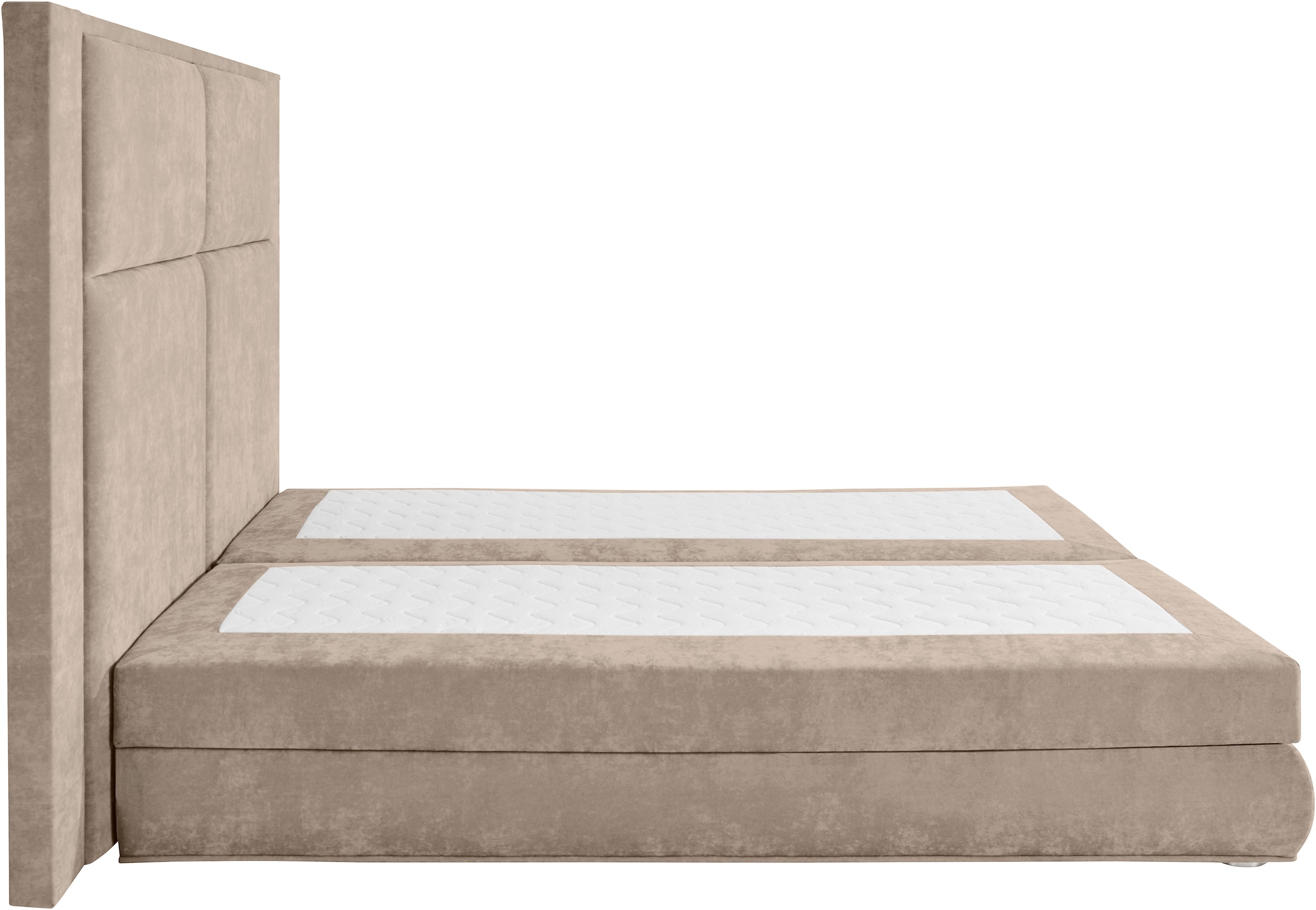 COLLECTION AB Boxspringbett Copenhagen, inklusive Bettkasten und Topper, wahlweise mit LED-Beleuchtung