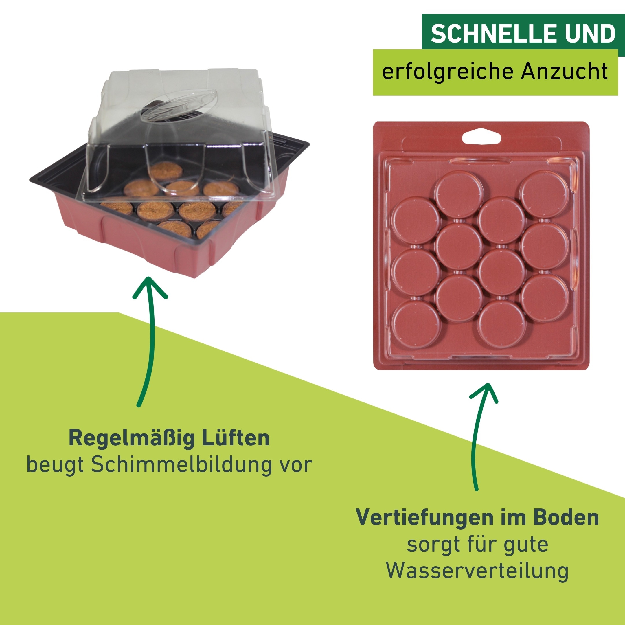 Windhager Gewächshaus »für Fensterbänke, Zimmer-Gewächshaus Indoor« Anzucht Fensterbank-Treibhaus inkl. 12 Quelltabs, 19,5x19x11 cm