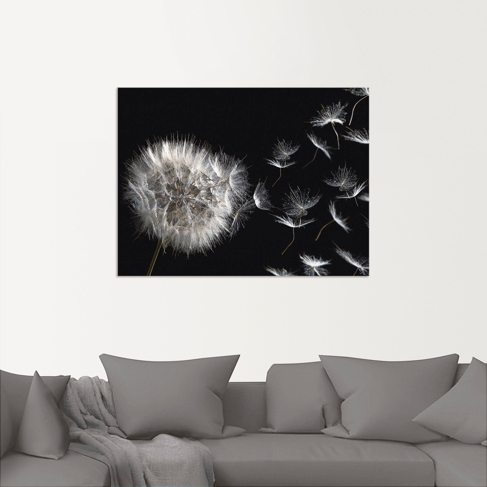 Artland Wandbild »Pusteblume«, Blumenbilder, (1 St.), als Alubild, Outdoorbild, Leinwandbild, Poster, Wandaufkleber