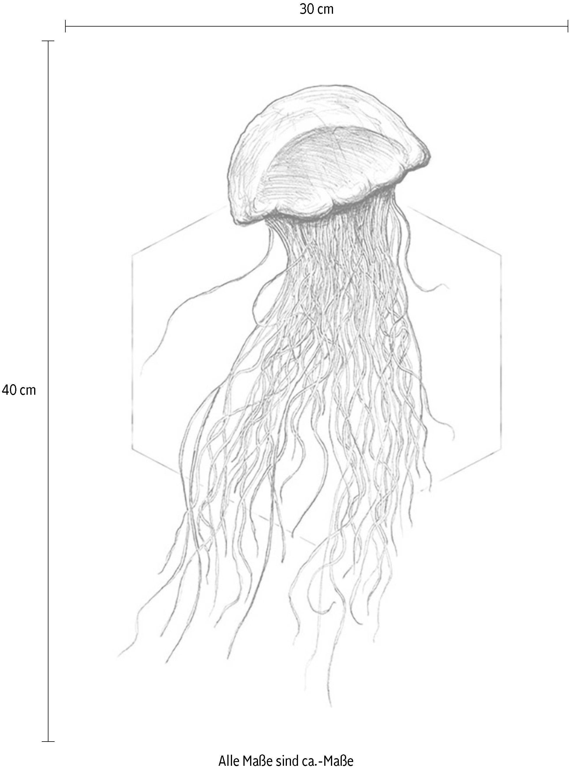 Komar Bild »Jellyfish White«, Tiere, (1 St.), Wandbild zur Dekoration - ohne Rahmen