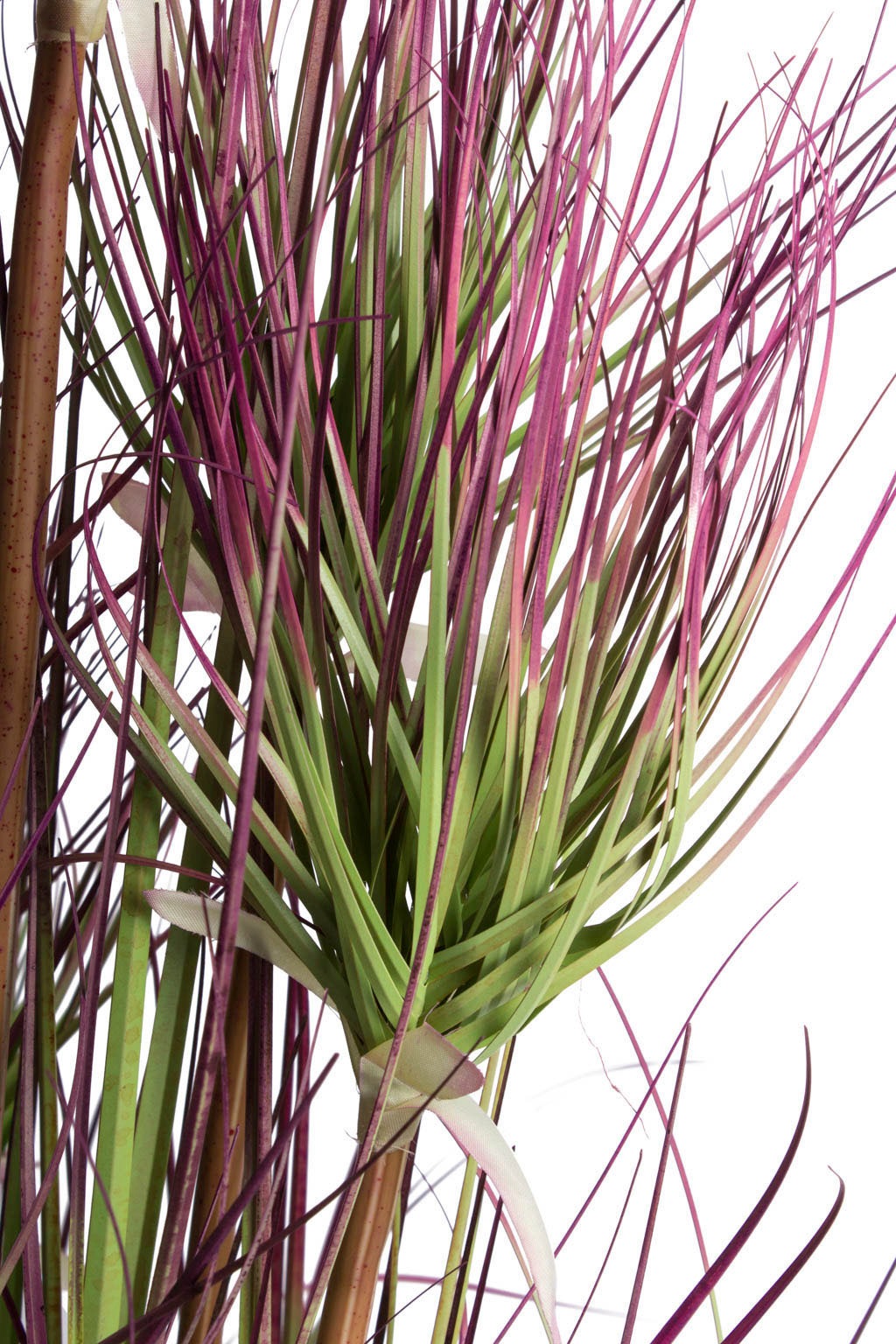 Botanic-Haus Kunstgras »Zyperngrasbusch« günstig online kaufen