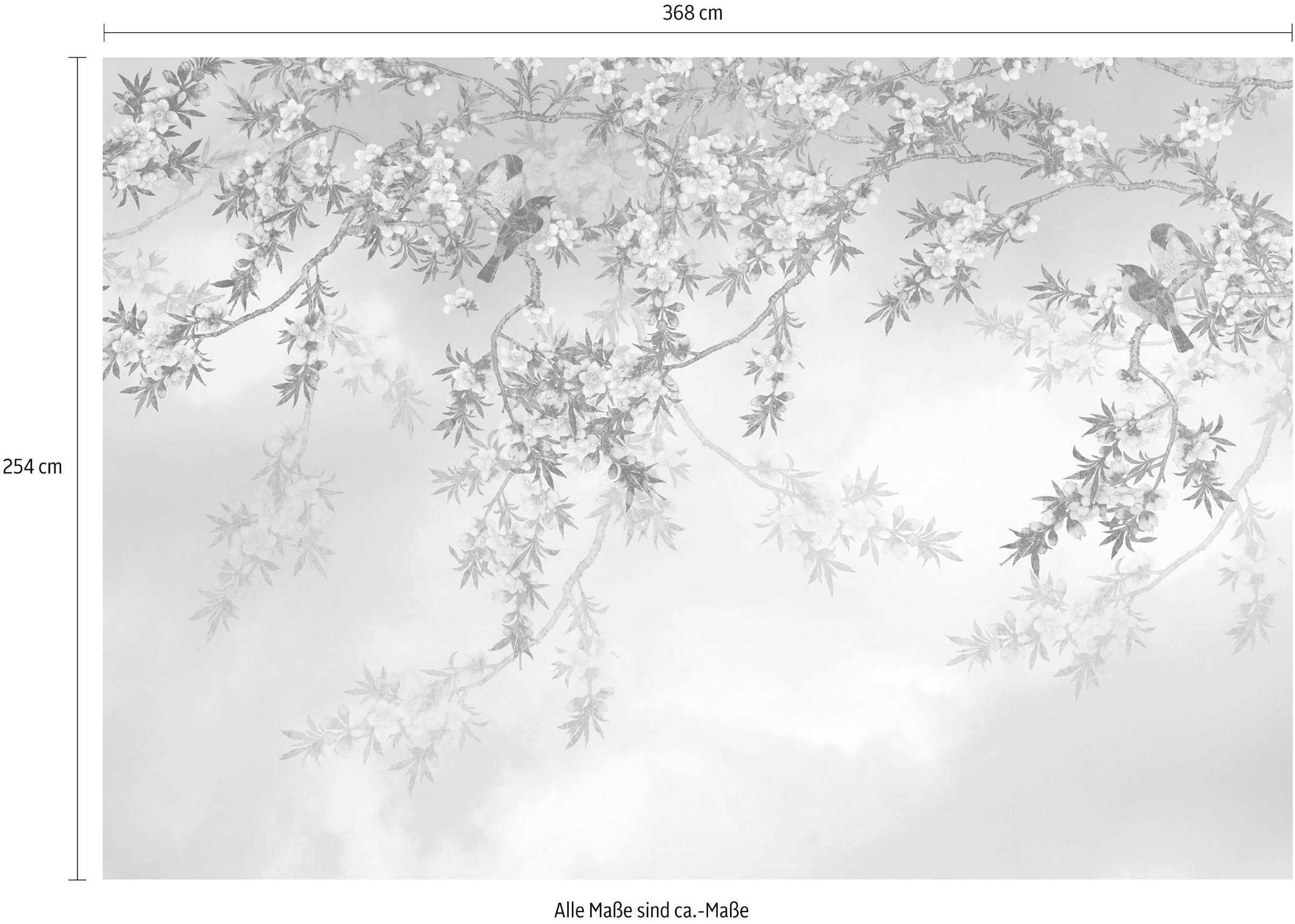 Komar Fototapete »Sakura - Größe 368 x 254 cm«, bedruckt, Wohnzimmer, Schlafzimmer