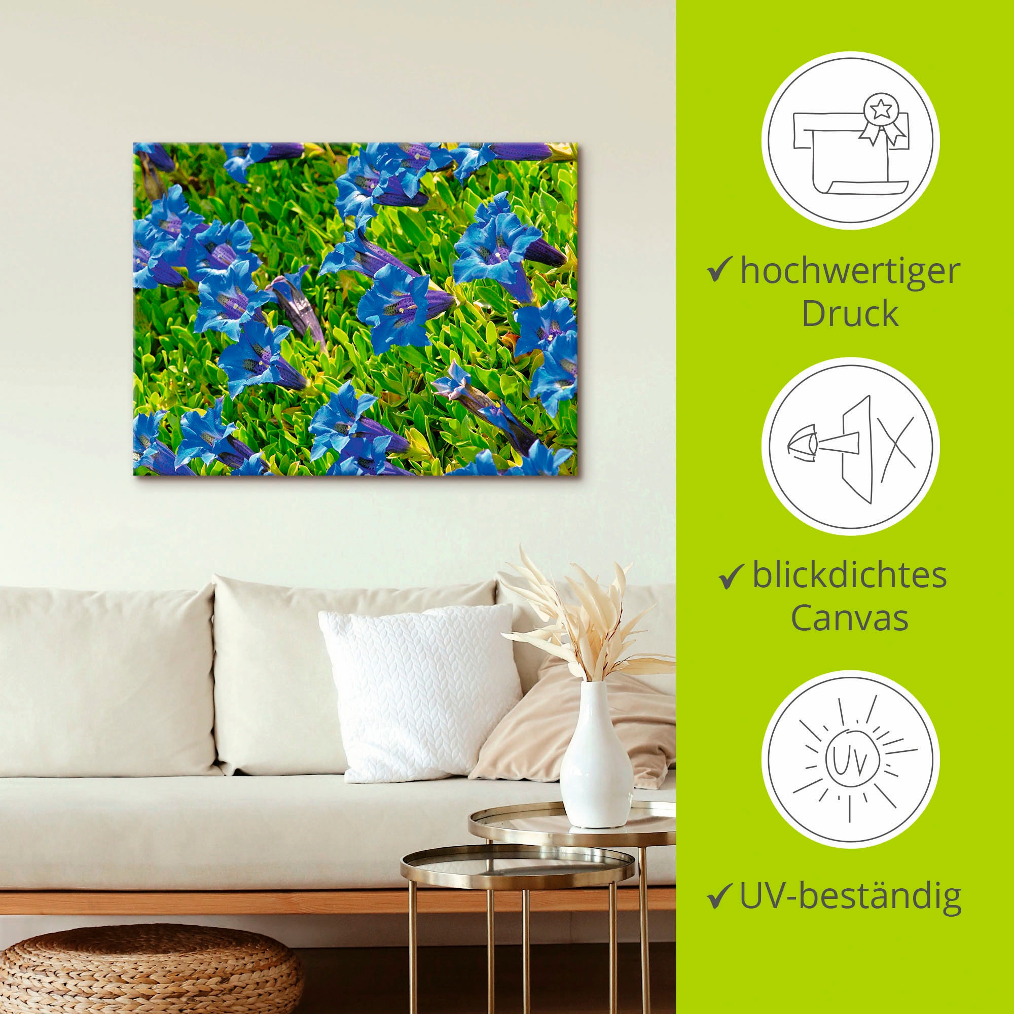 Artland Wandbild »Enzian« Blumenwiese 1 Stk. tlg. als Leinwandbild, Poster in verschied. Größen