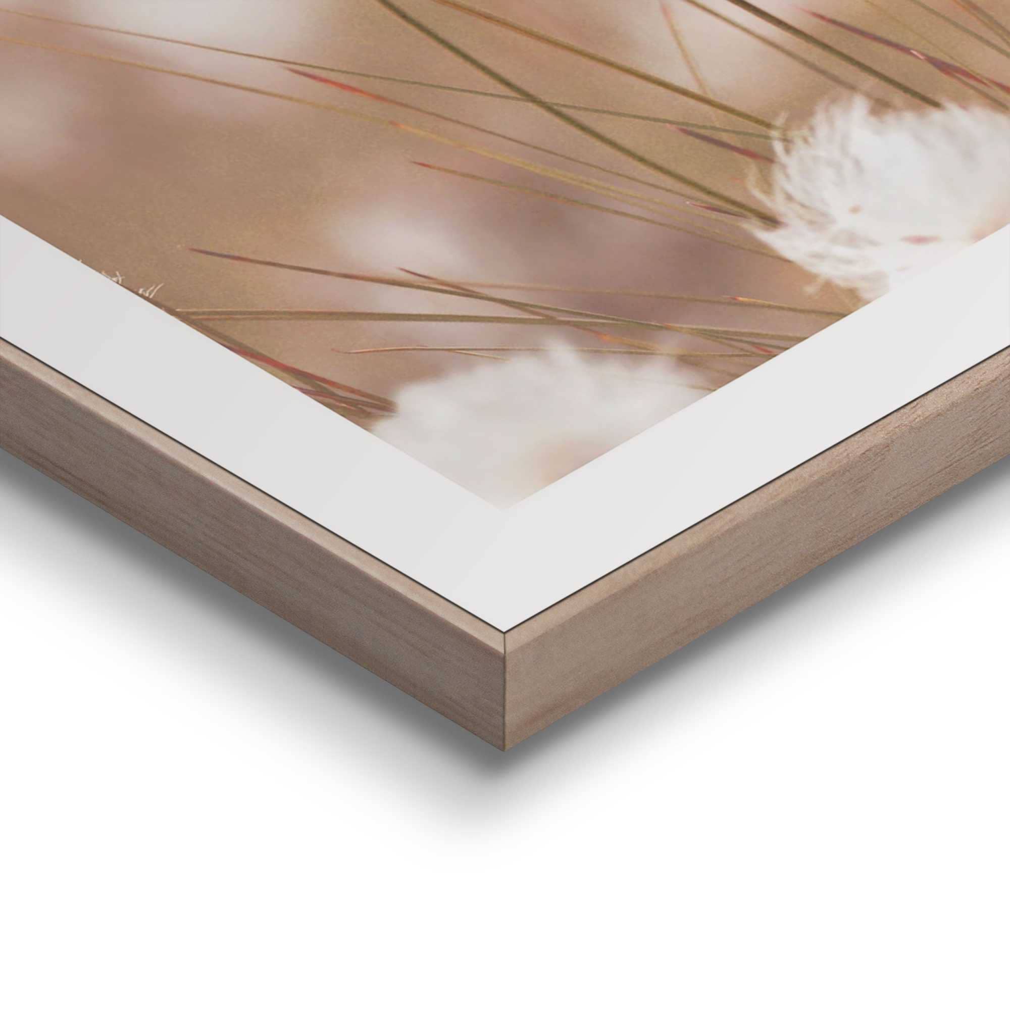 Reinders! Bild mit Rahmen »Cotton Pops«