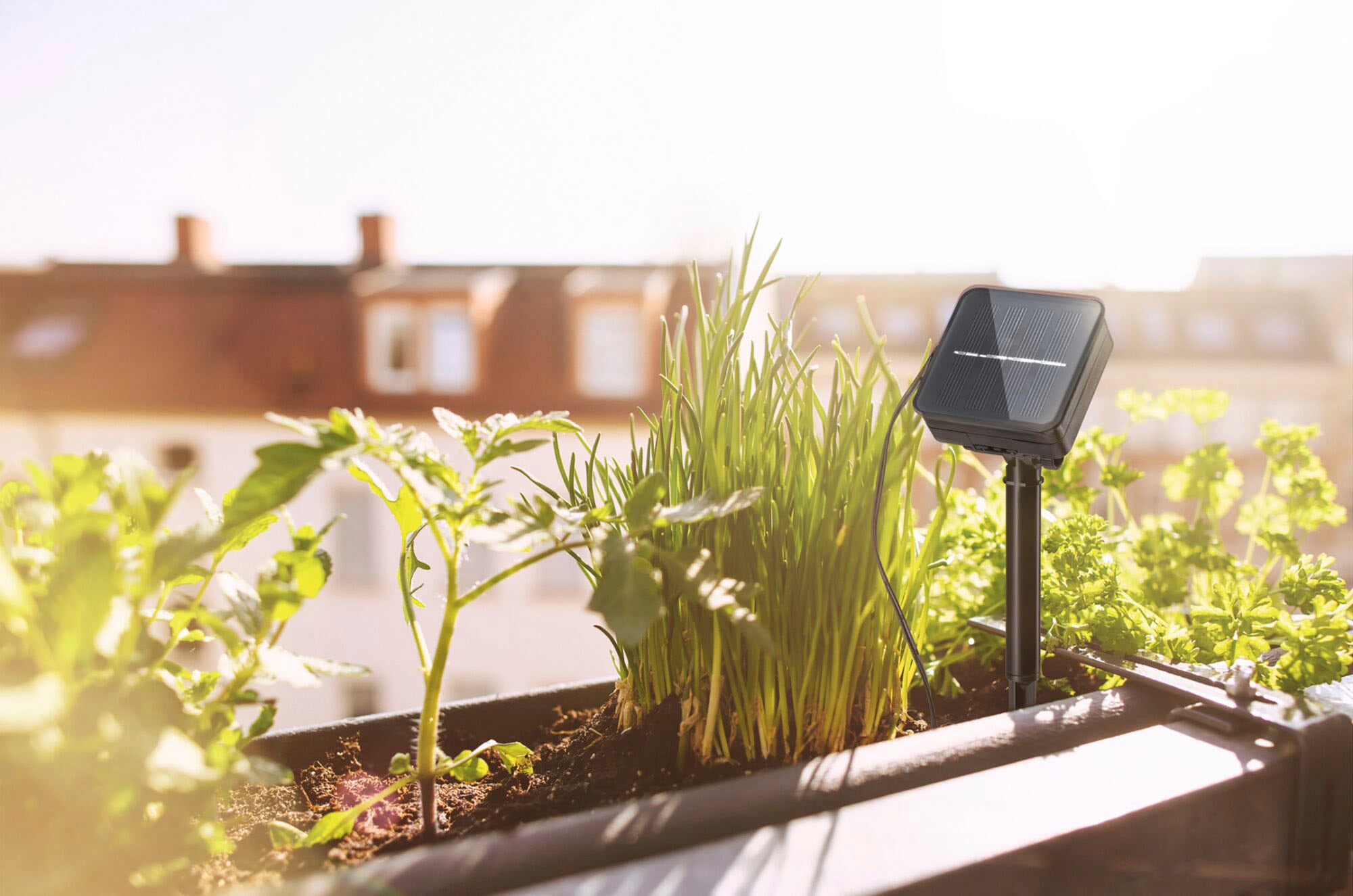 Paulmann LED-Streifen »Solar mit Dämmerungssensor IP44 3m 2700K 0,3W Schwarz« 1 Stk.-flammig