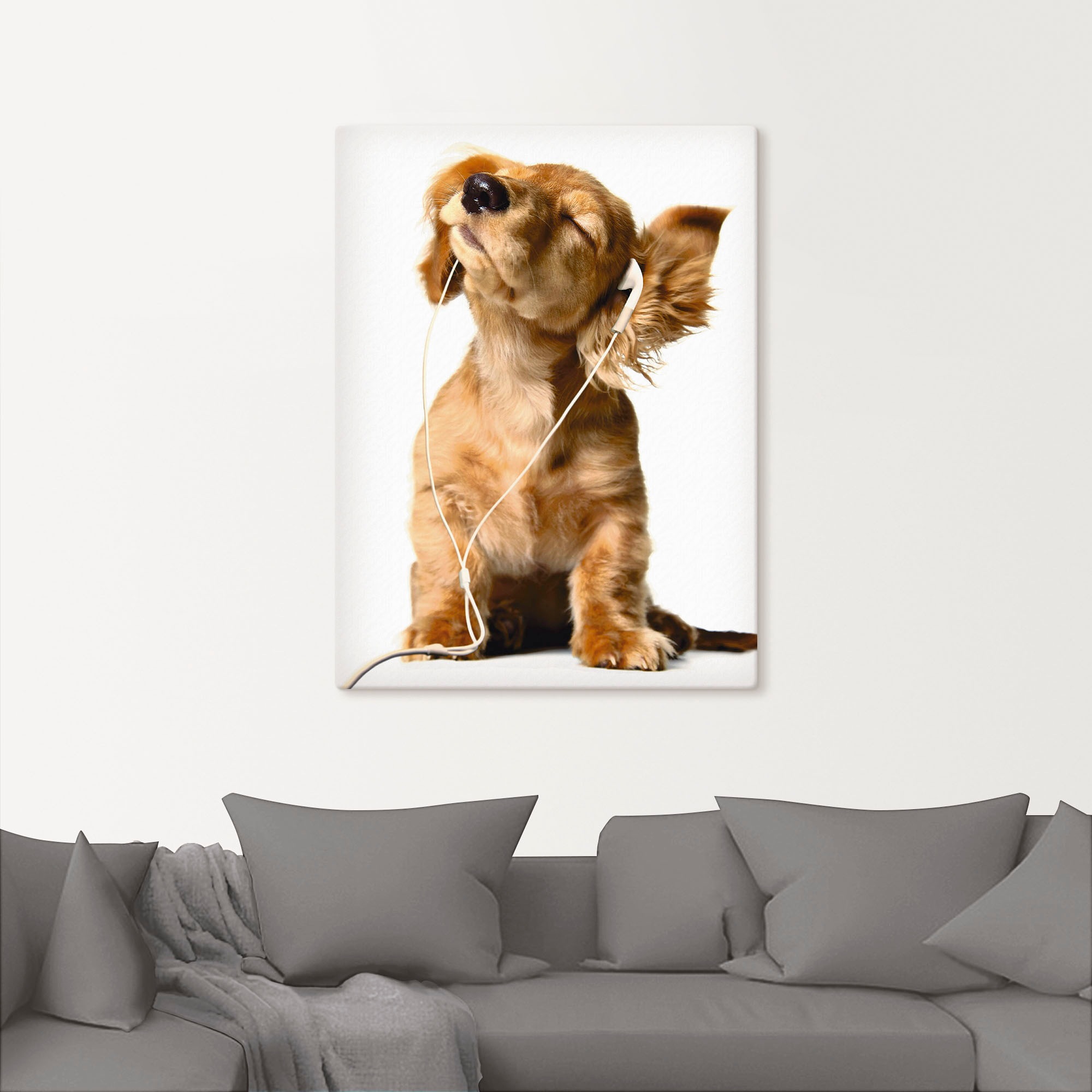 Artland Wandbild »Junger Hund hört Musik über Kopfhörer« Haustiere 1 Stk. t günstig online kaufen