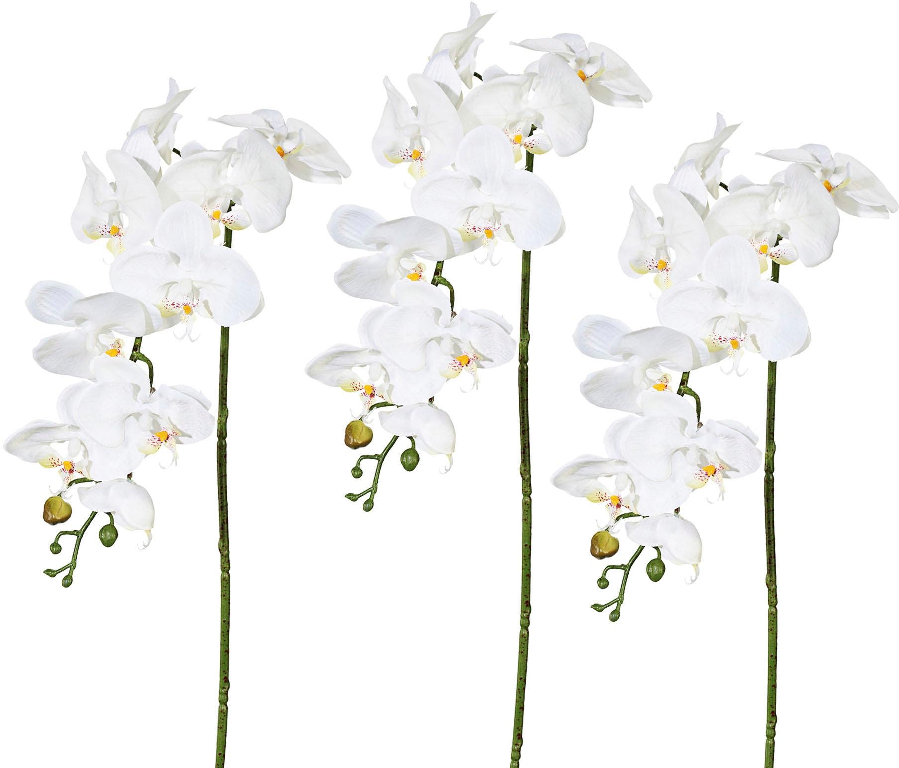 Creativ green Kunstorchidee »Phalaenopsis«, in Design-Kunststoffvase auf  Rechnung bestellen