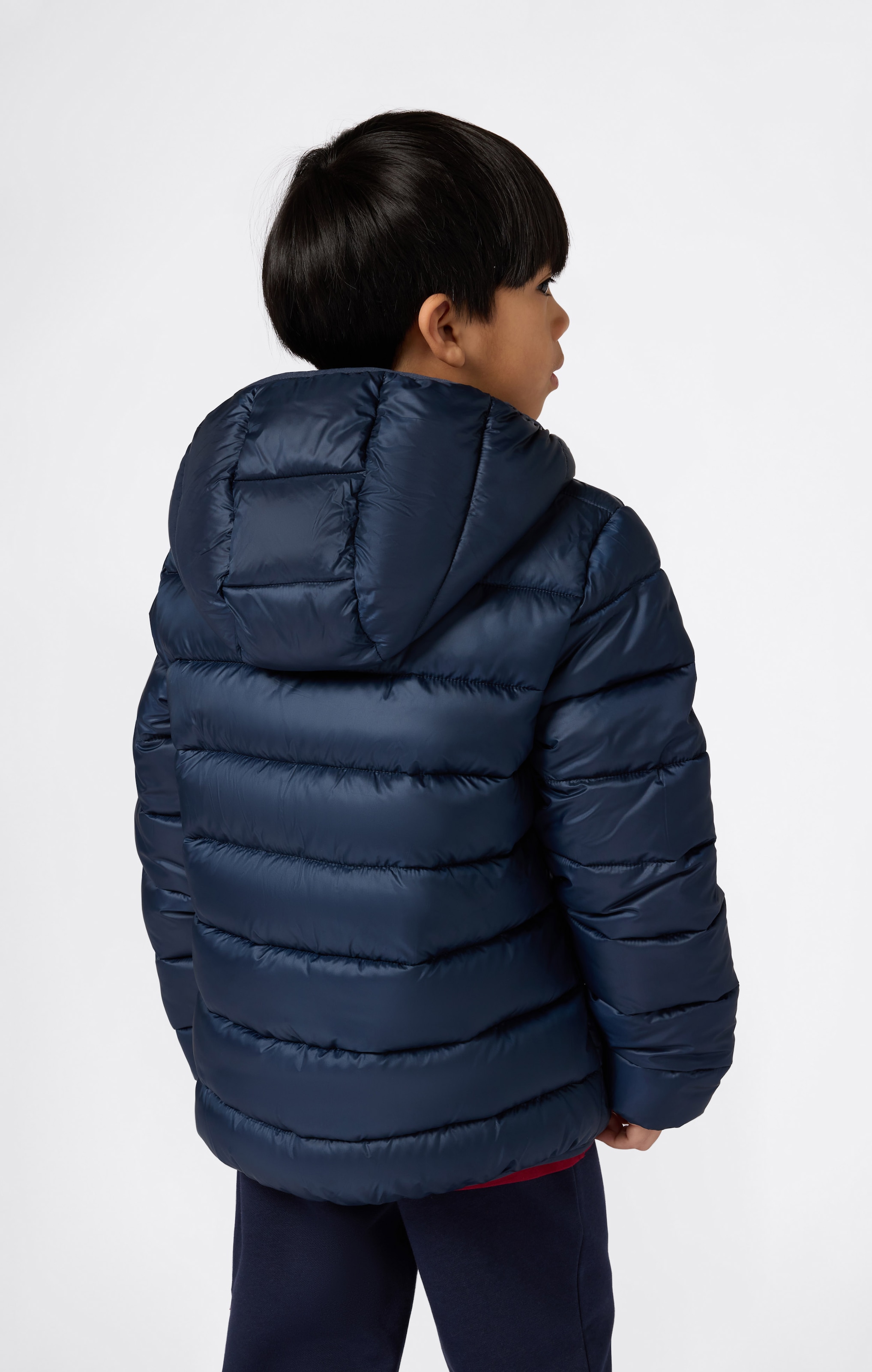Champion Steppjacke »SPORTWEAR JACKET Standard Fit« mit verstellbarer Kapuze, Standard Fit