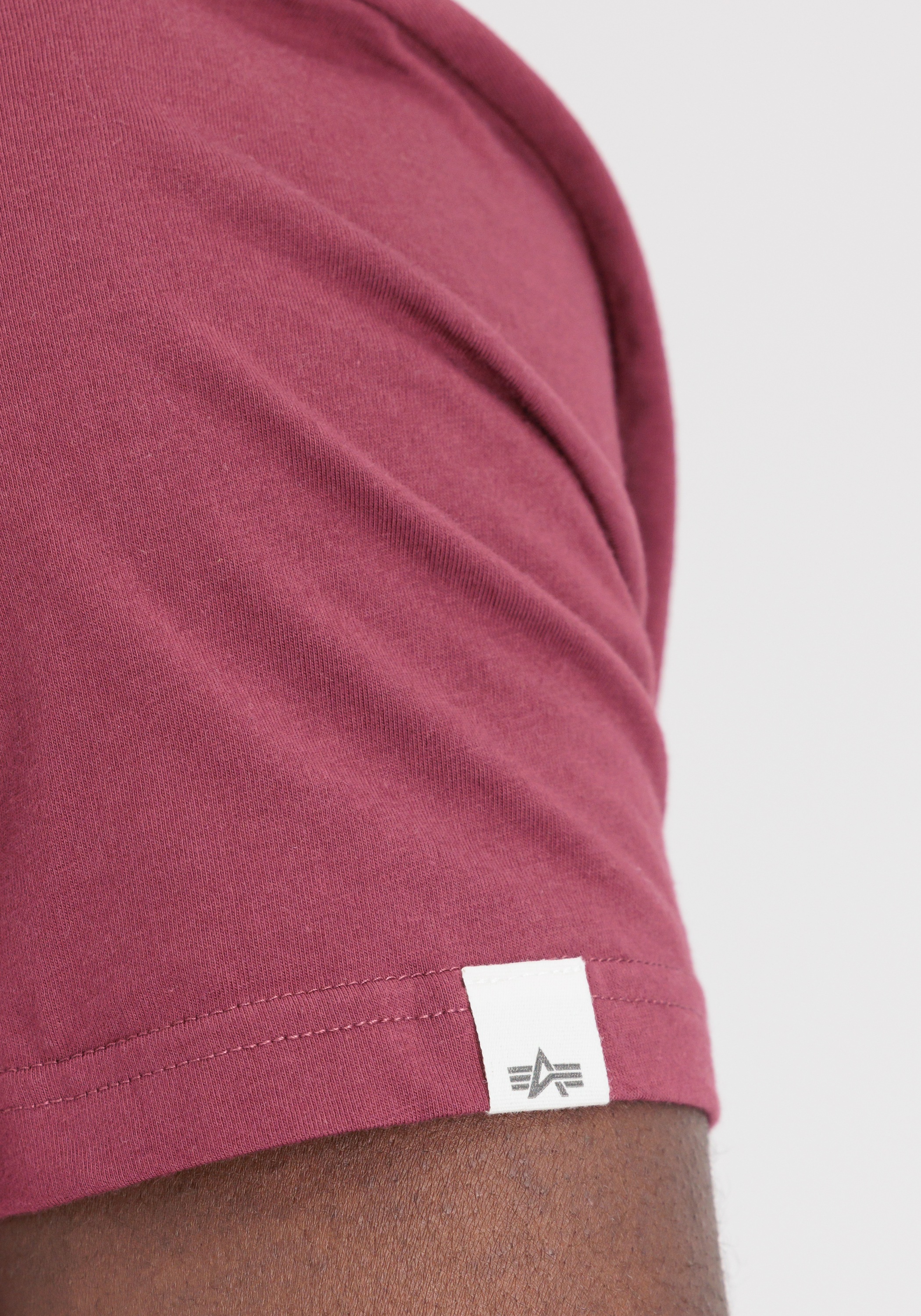 Alpha Industries T-Shirt »Organics EMB T-Shirt«