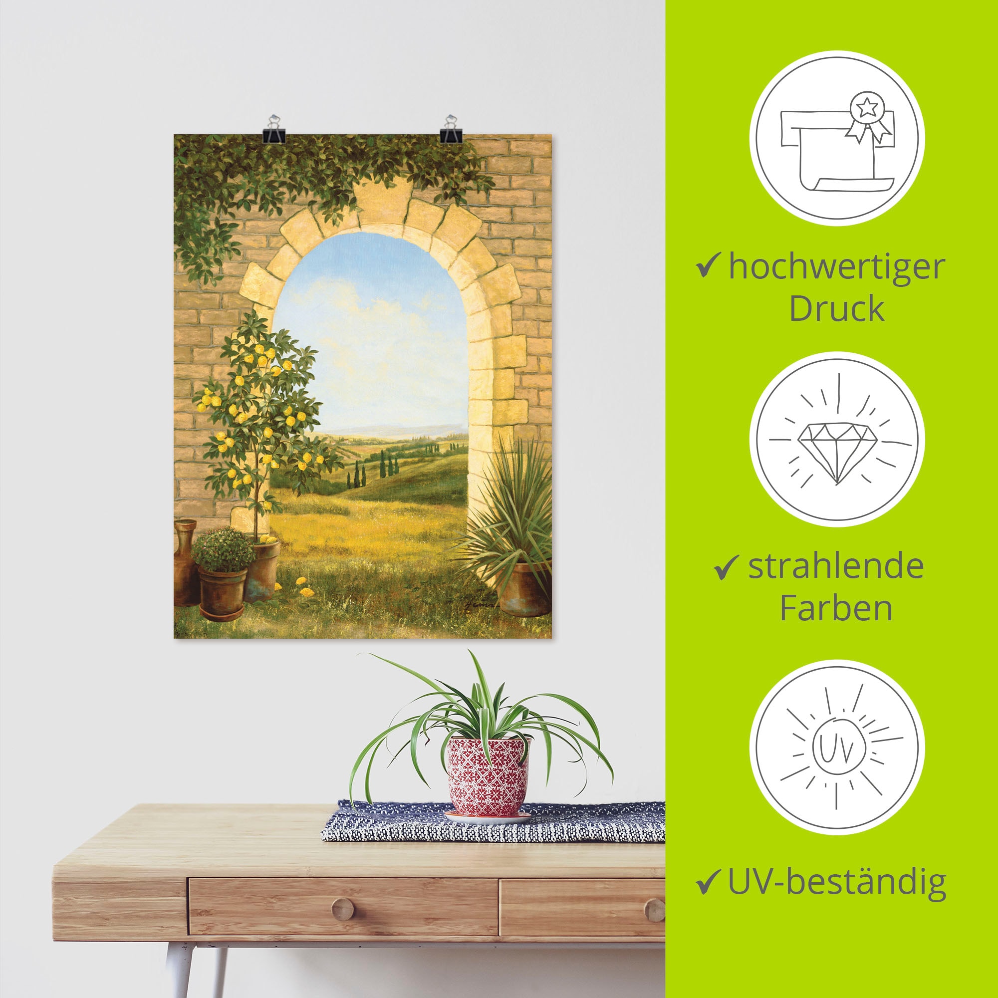 Artland Wandbild »Zitronenbaum vorm Torbogen II«, Fensterblick, (1 St.), als Alubild, Outdoorbild, Leinwandbild, Poster in verschied. Größen