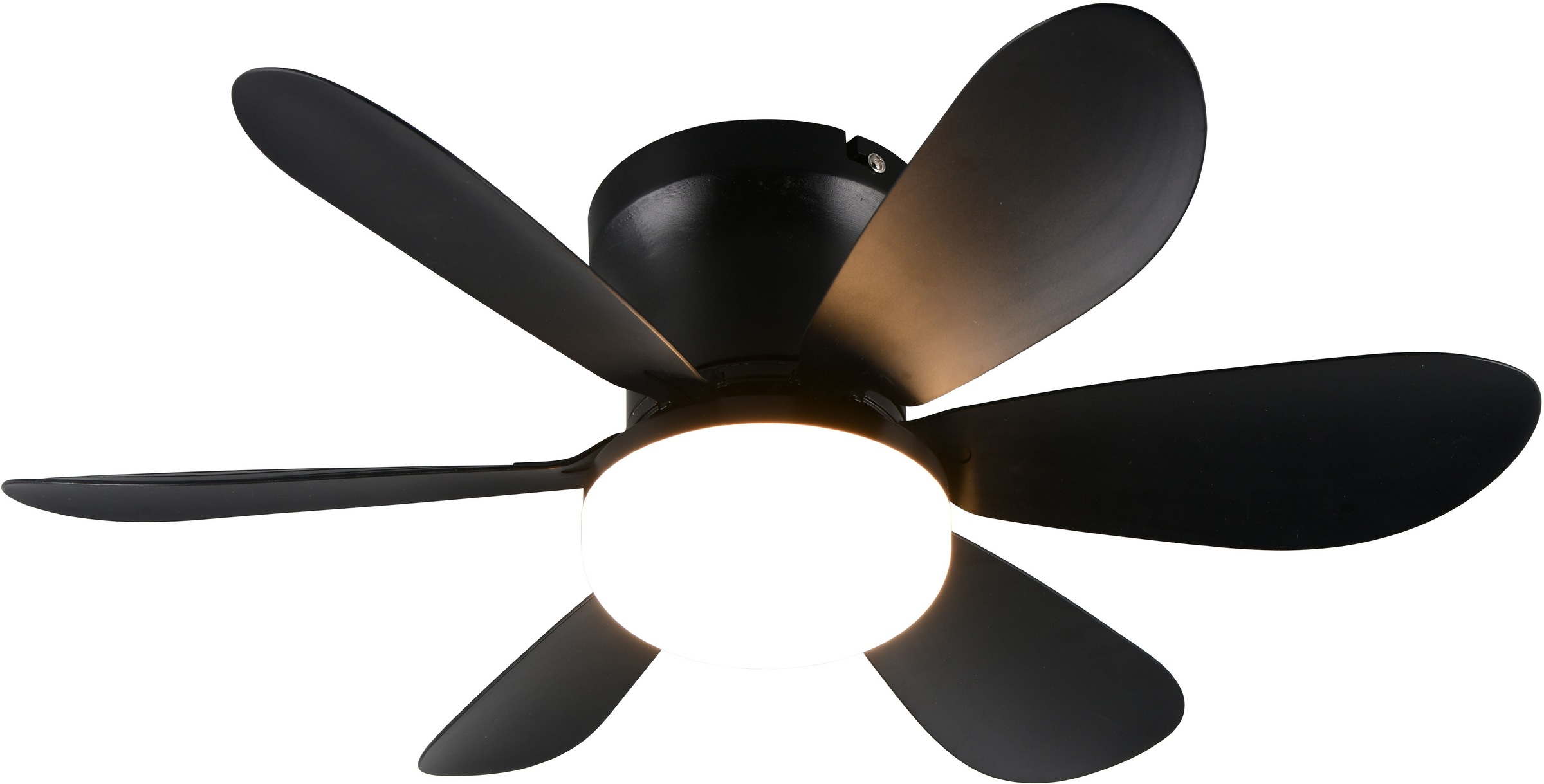 REALITY Leuchten LED Deckenleuchte »LUND mit Ventilator, Deckenventilator m günstig online kaufen