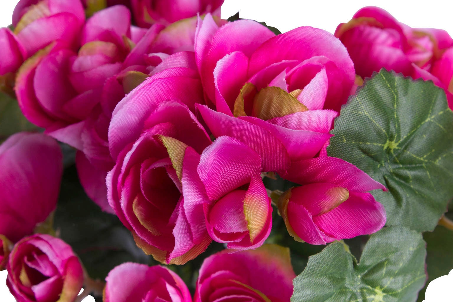 Botanic-Haus Kunstblume »Begonienbusch mit 7 Stielen«
