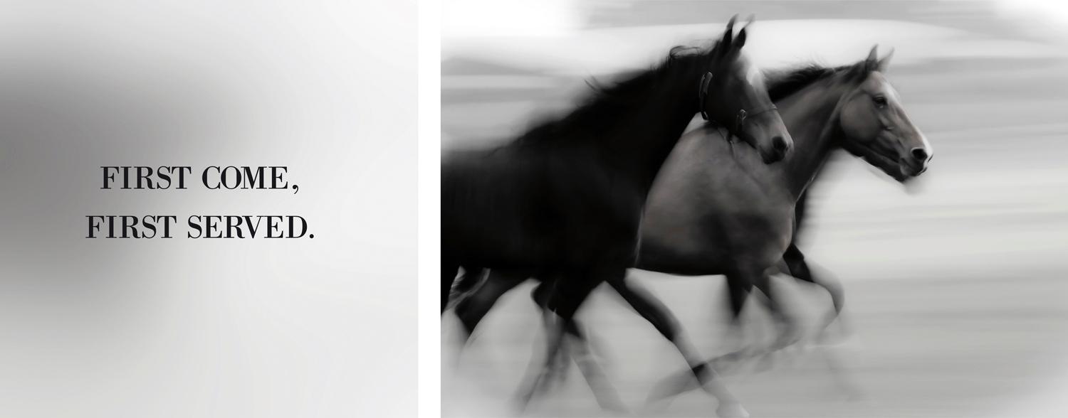 queence Leinwandbild »First come, first served«, Ponys-Pferde-Pferdebilder- günstig online kaufen