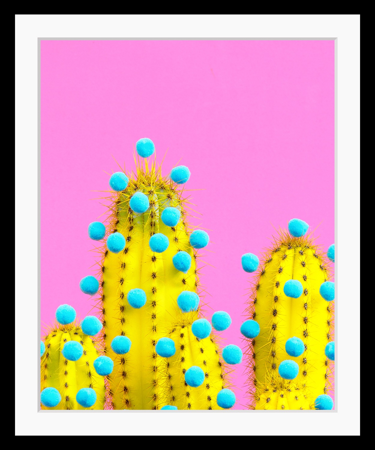 queence Bild »Livia« Kunst   Pflanzen   Pflanzenbilder HD Premium Poster-Dr günstig online kaufen