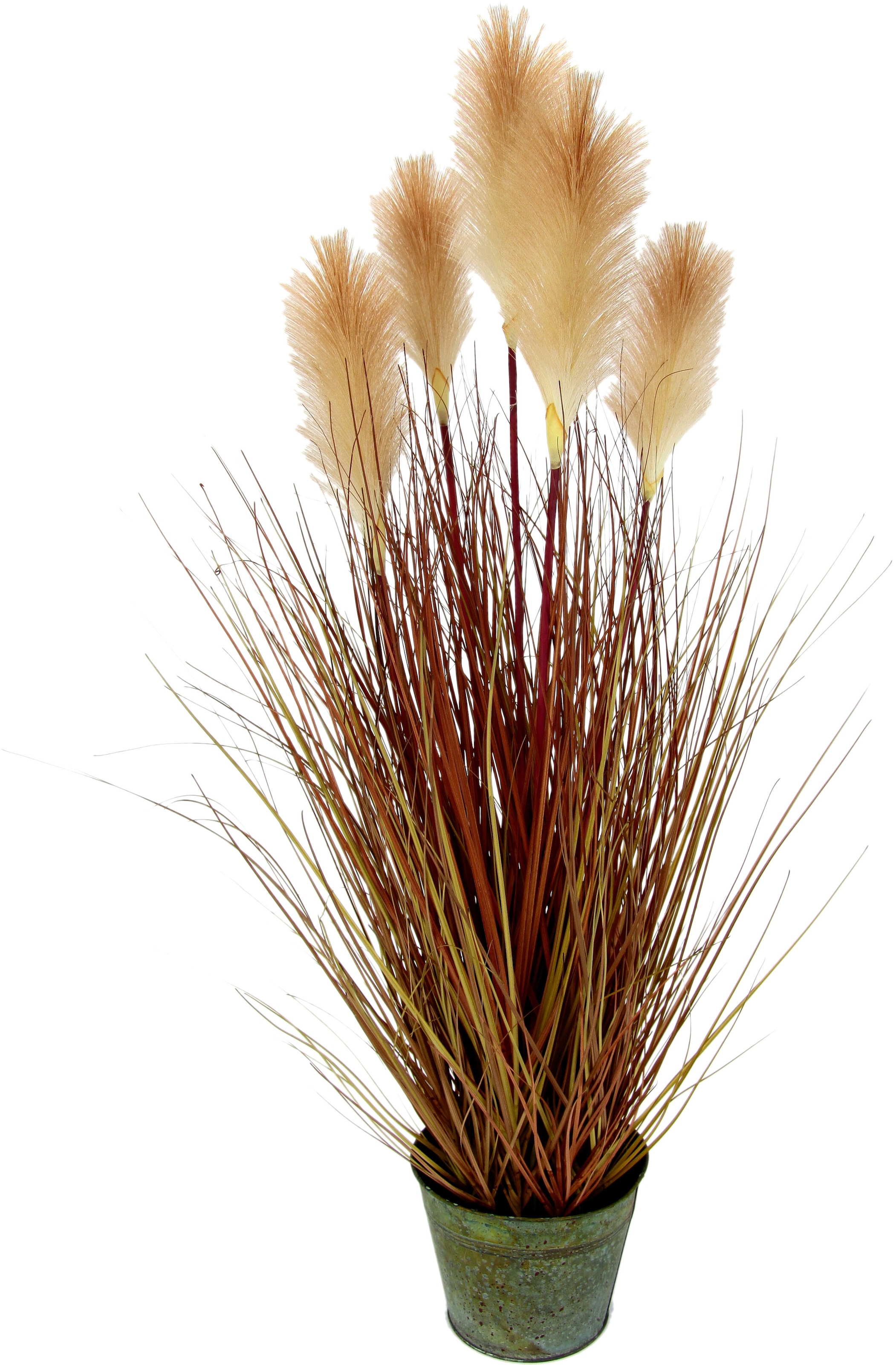 I.GE.A. Kunstpflanze »Pampasgras« Im Metalltopf günstig online kaufen