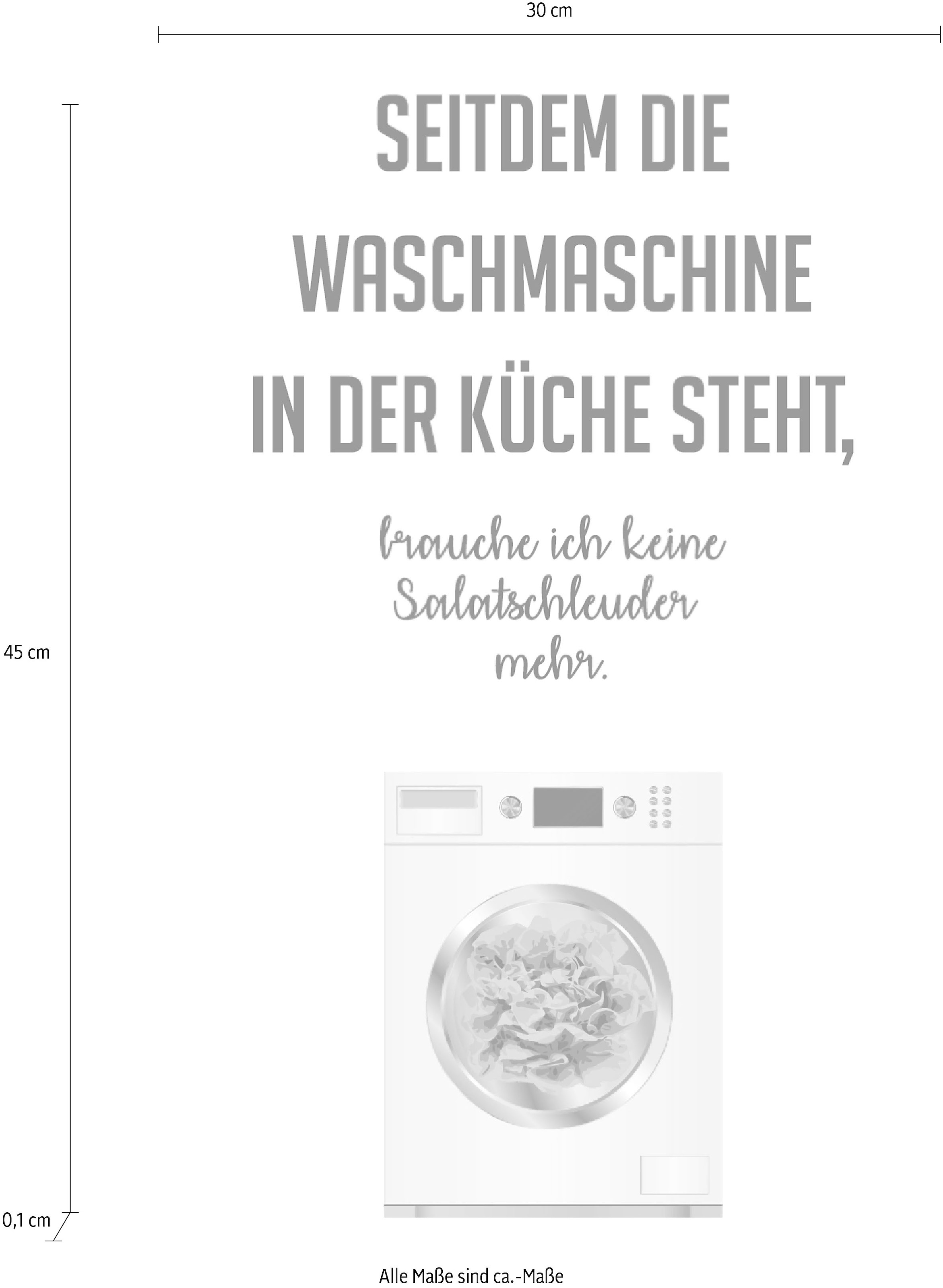 queence Wanddekoobjekt »Salatschleuder«, Stahlschild, Blechschild, Spruch, Witzig, Wanddeko, retro, 20x30cm