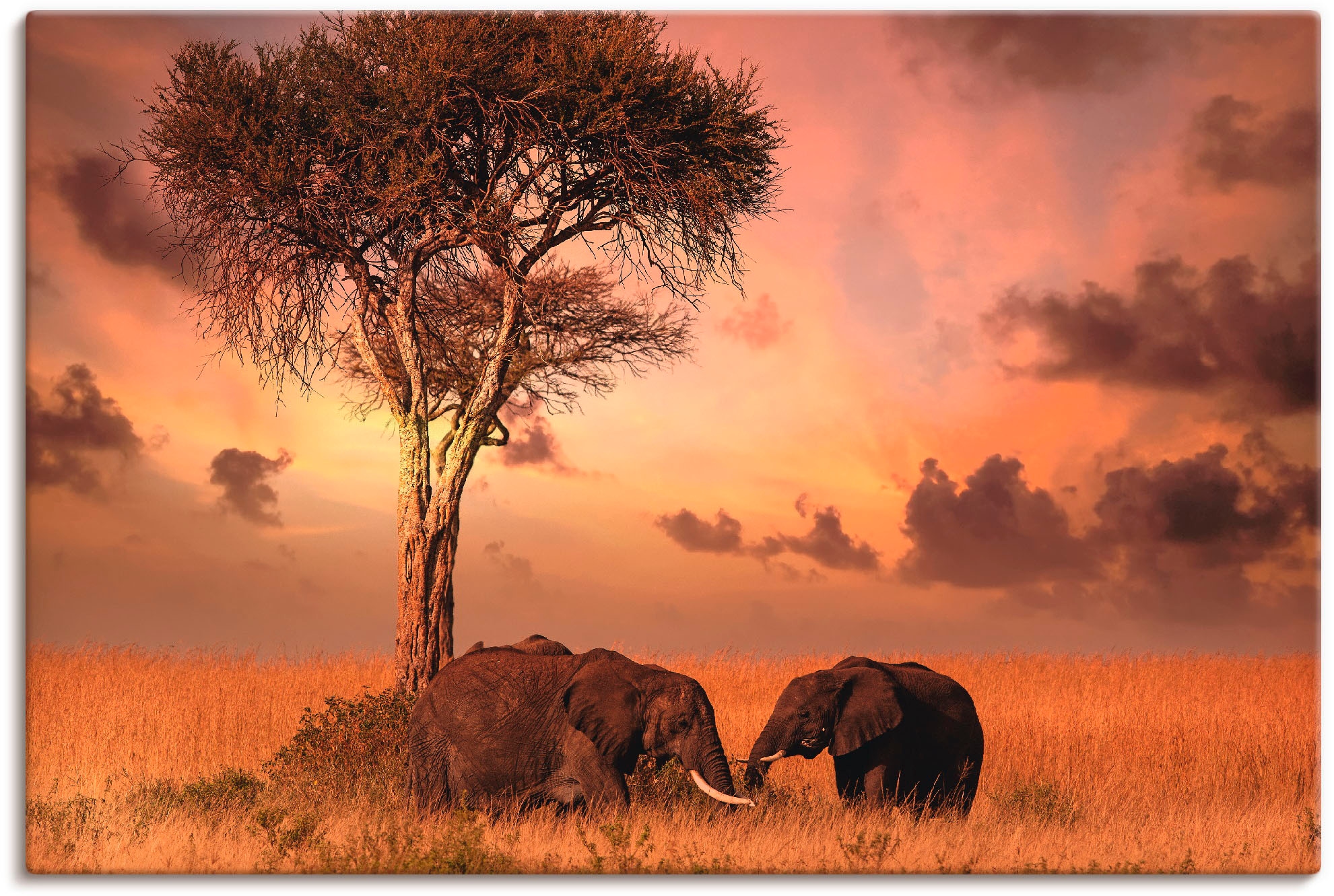 Artland Wandbild »Elefanten zum Abendessen« Wildtiere 1 Stk. tlg. als Leinw günstig online kaufen