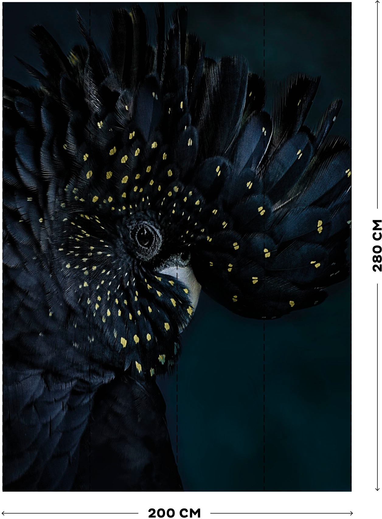 Art for the home Vliestapete »Fototapete Exotischer Vogel«