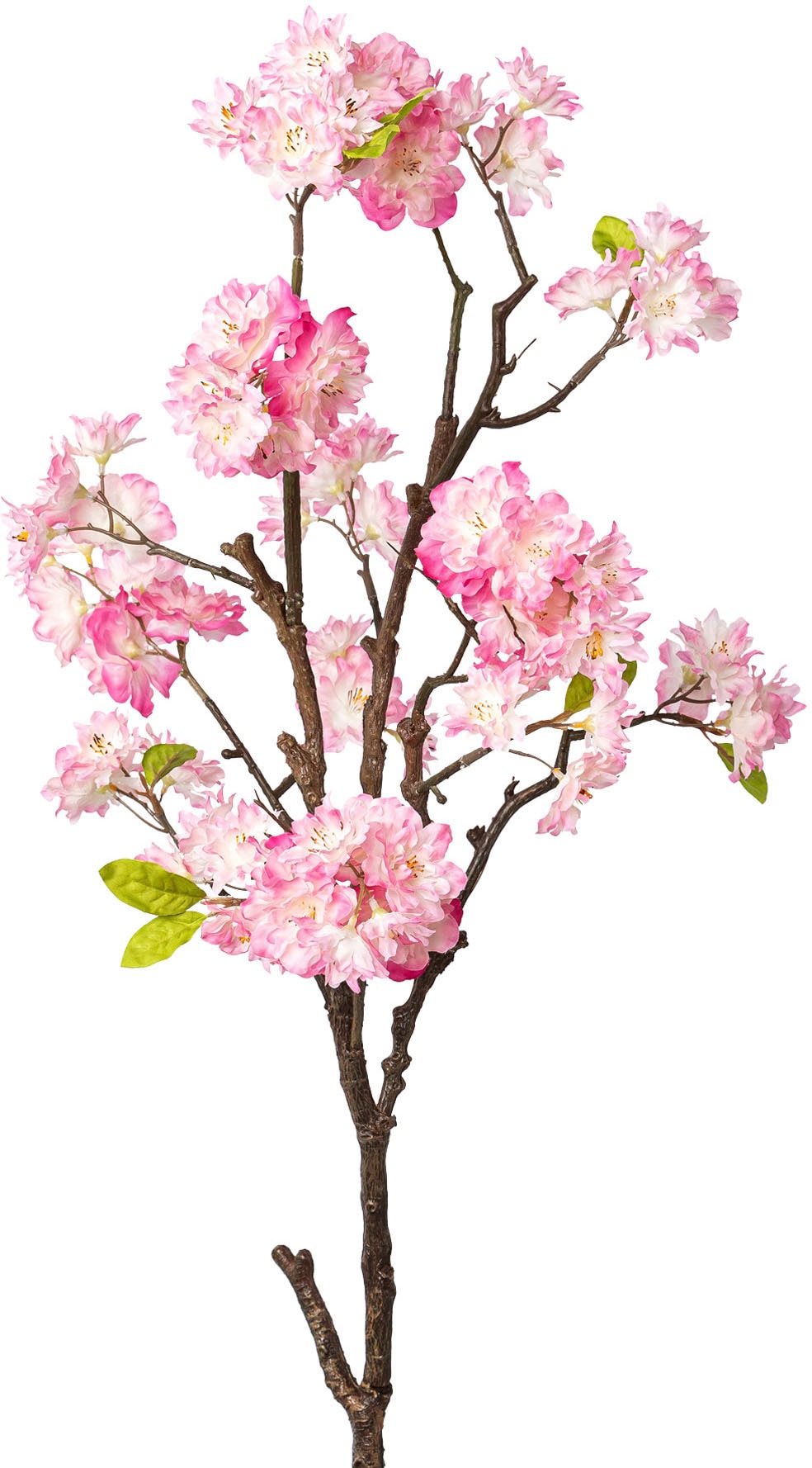Kunstzweig Raten mit »Zweig green Creativ Kirschblüten« bestellen auf