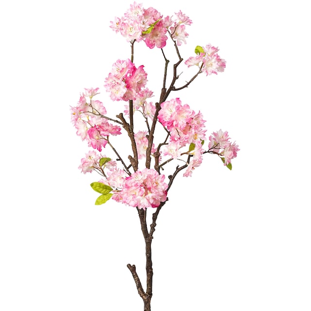 Creativ green Kunstzweig »Zweig mit Kirschblüten« auf Raten bestellen