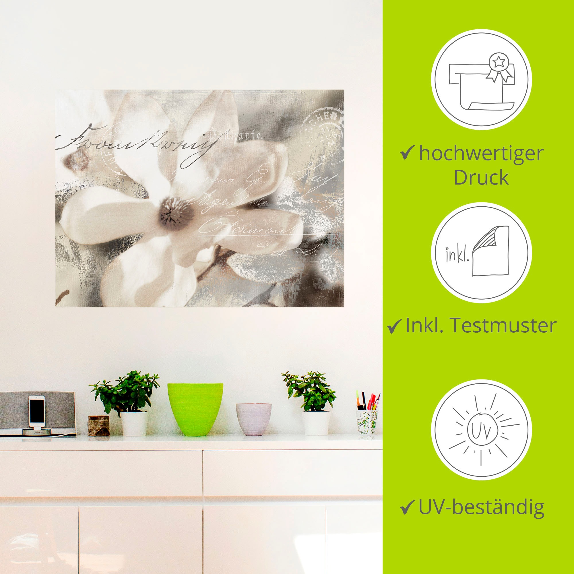 Artland Wandbild »Magnolie_Detail«, Blumenbilder, (1 St.), als Alubild, Outdoorbild, Leinwandbild, Poster, Wandaufkleber