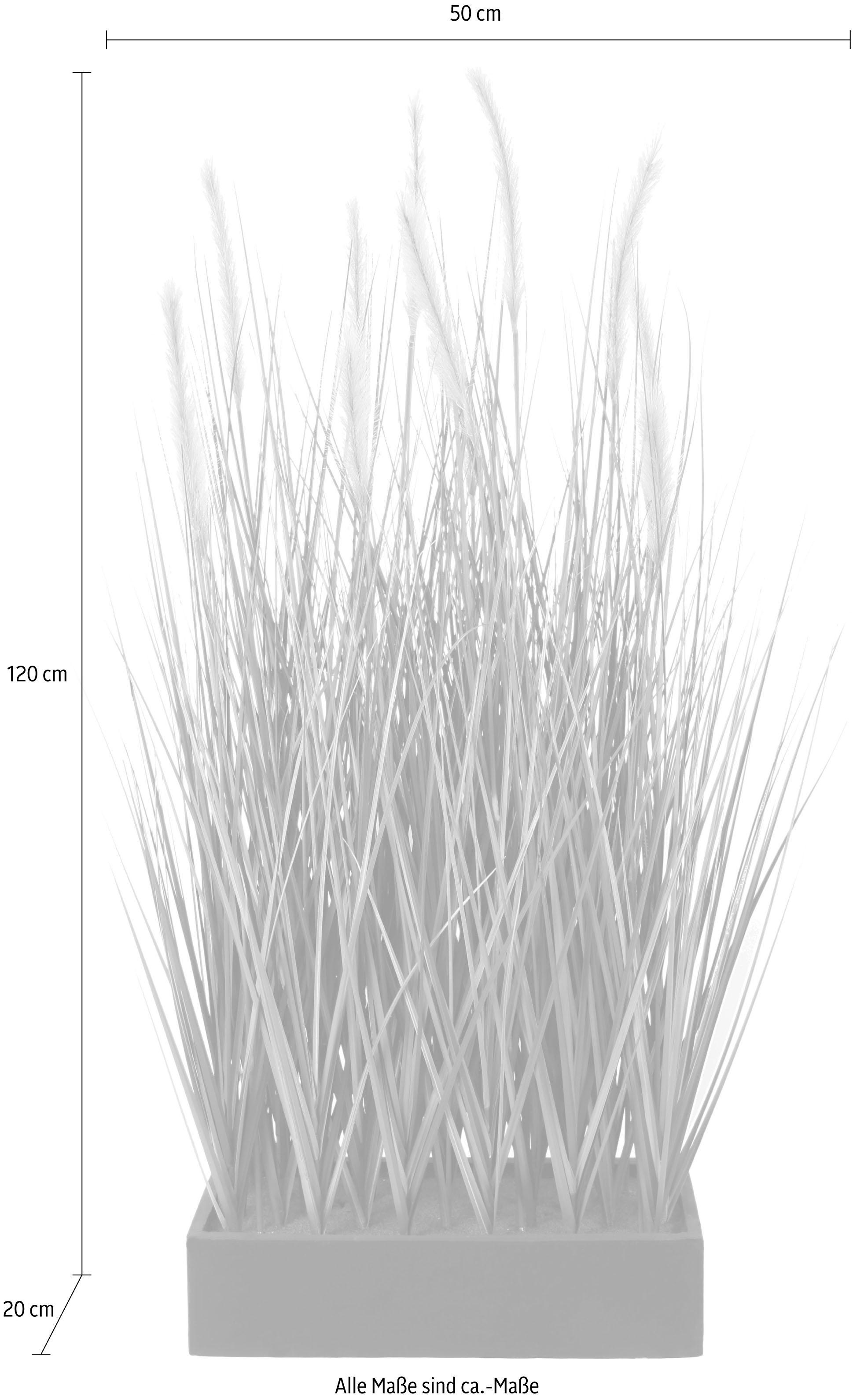 I.GE.A. Kunstpflanze »Fuchsschwanzgras im Topf« günstig online kaufen