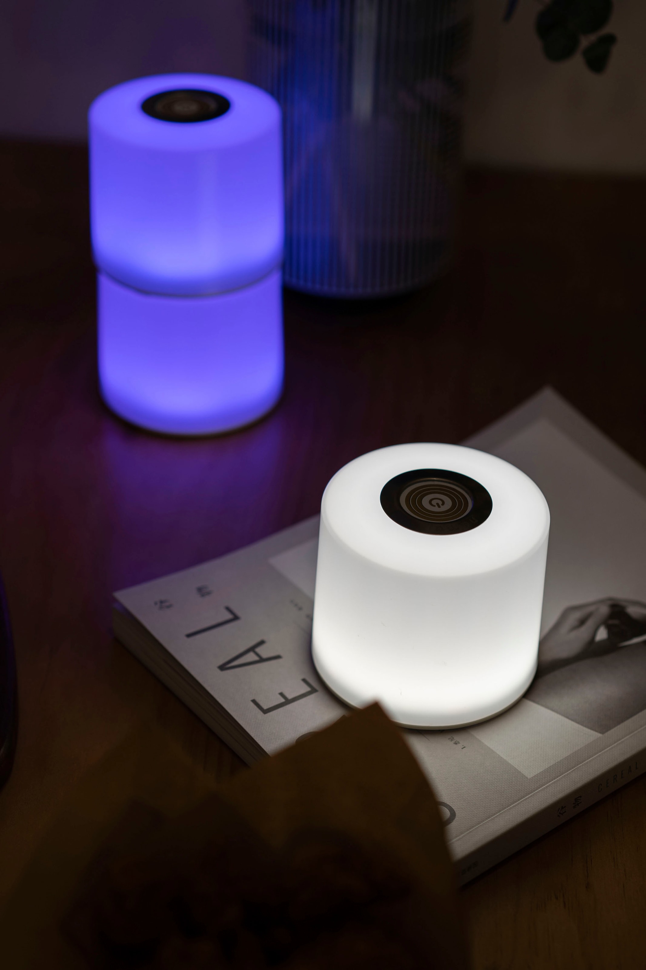 LUTEC Smarte LED-Leuchte »NOMA«, 1 bestellen online Smart-Home flammig-flammig, Tischleuchte