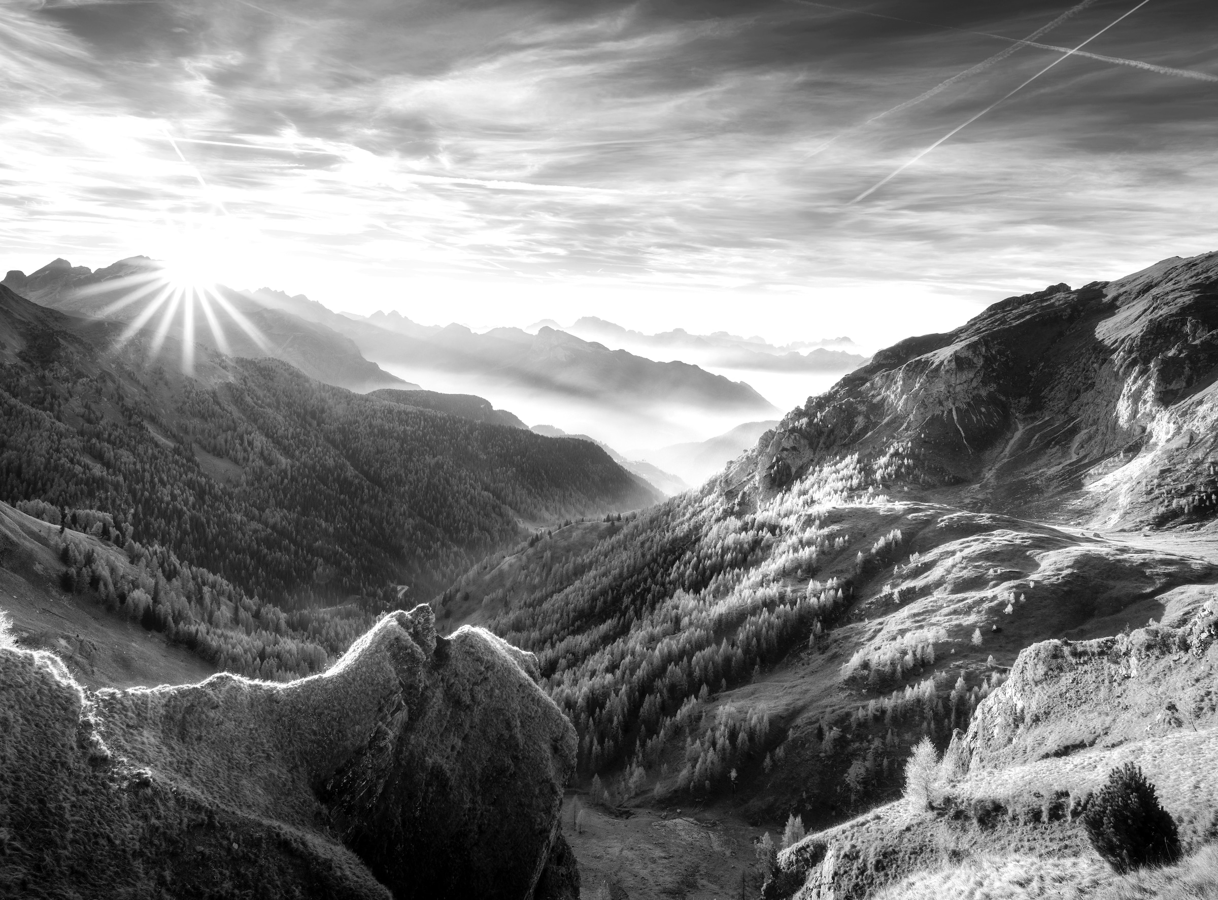 Papermoon Fototapete »Landschaft Schwarz & Weiß« günstig online kaufen