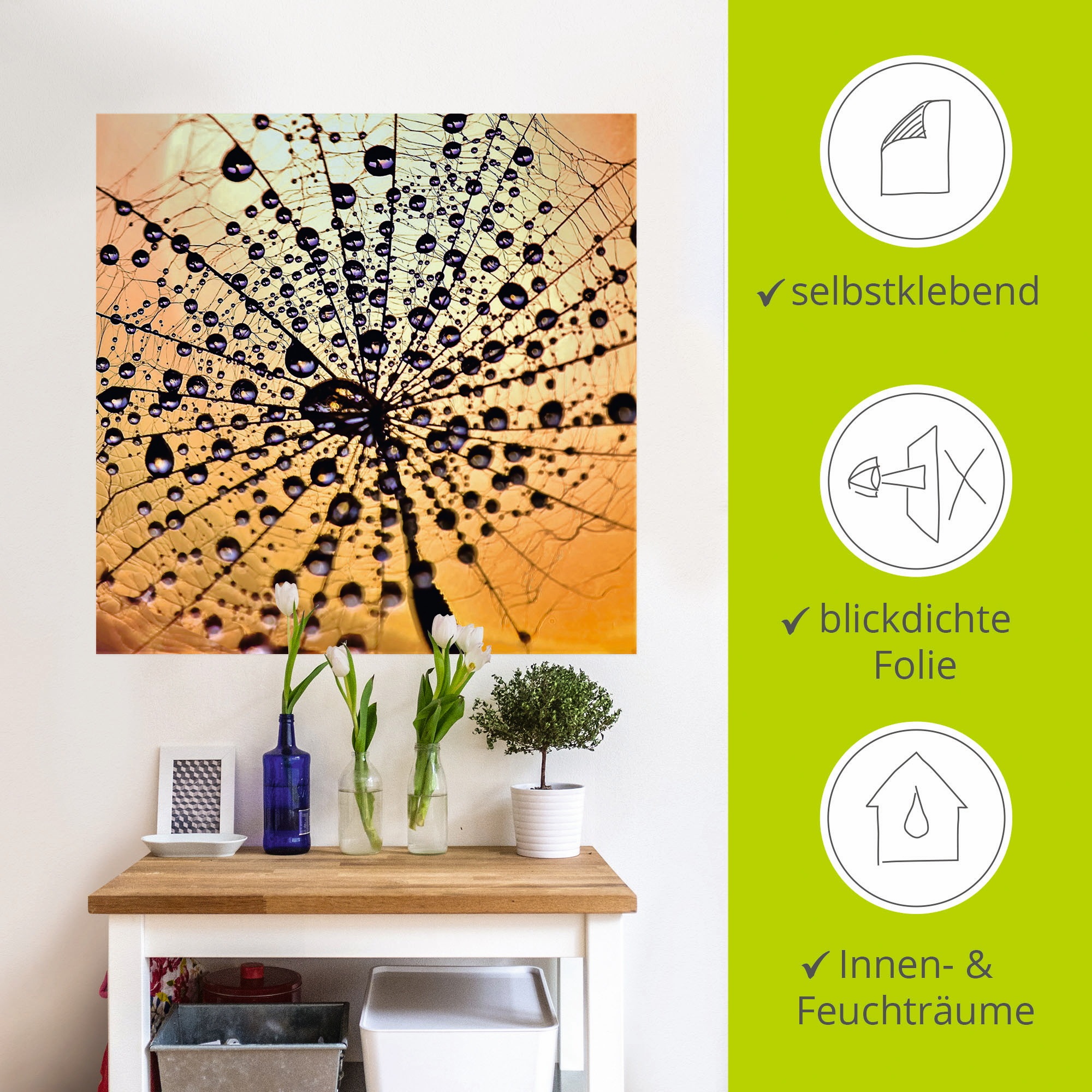 Artland Wandbild »Pusteblume Tröpfchenfang«, Blumen, (1 St.), als Leinwandbild, Wandaufkleber in verschied. Größen