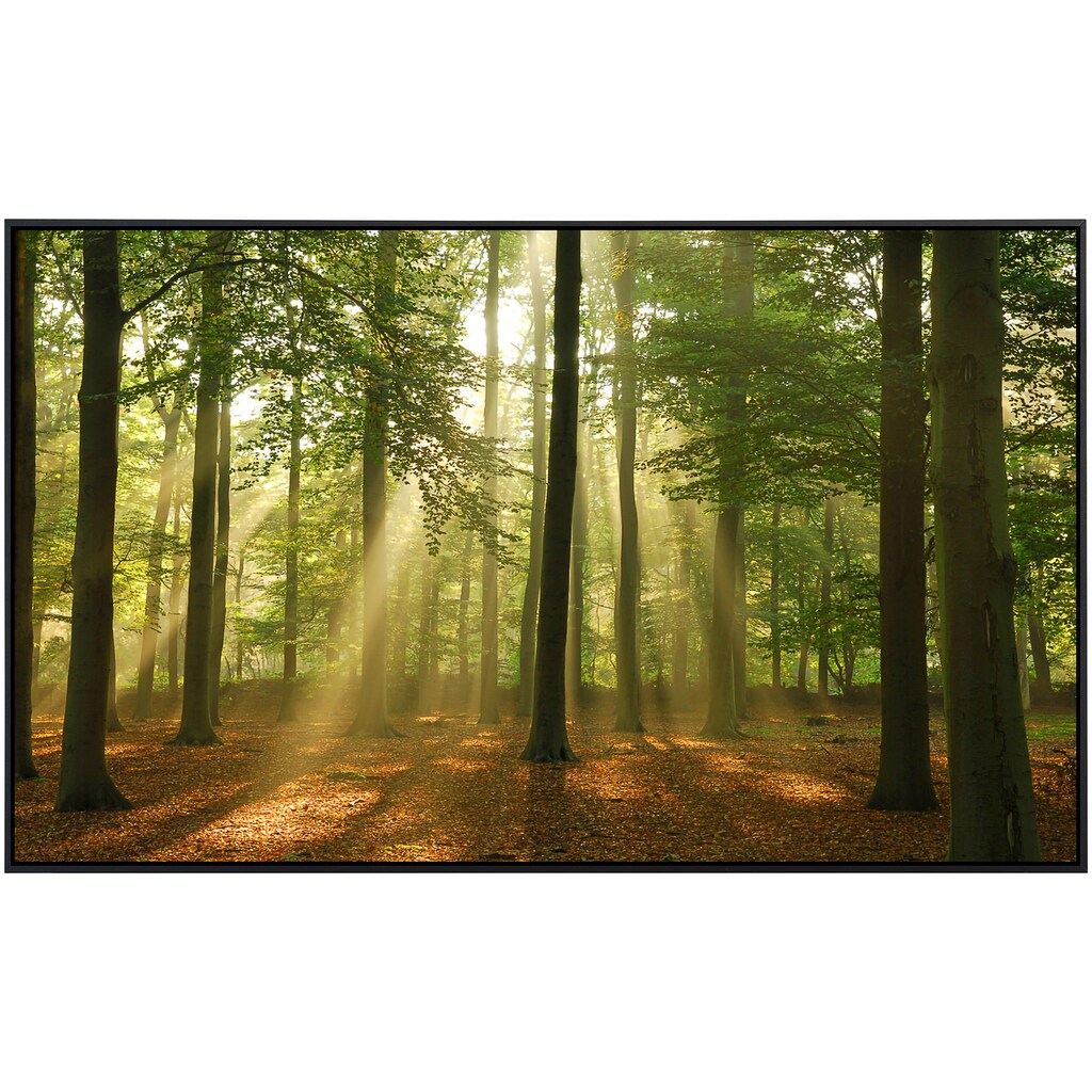 Papermoon Infrarotheizung »Wald am Morgen«, sehr angenehme Strahlungswärme