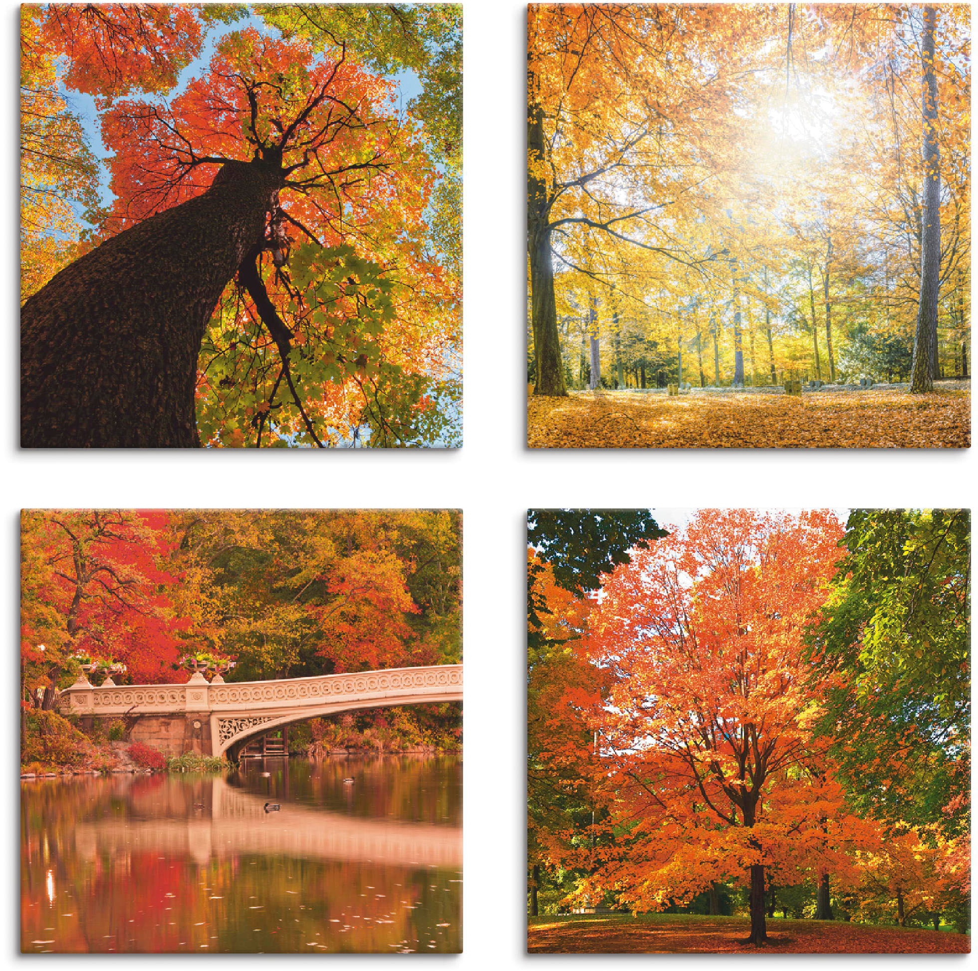 Artland Leinwandbild »Herbst Wald Panoramas« Wald 4 Stk. tlg. 4er Set, vers günstig online kaufen