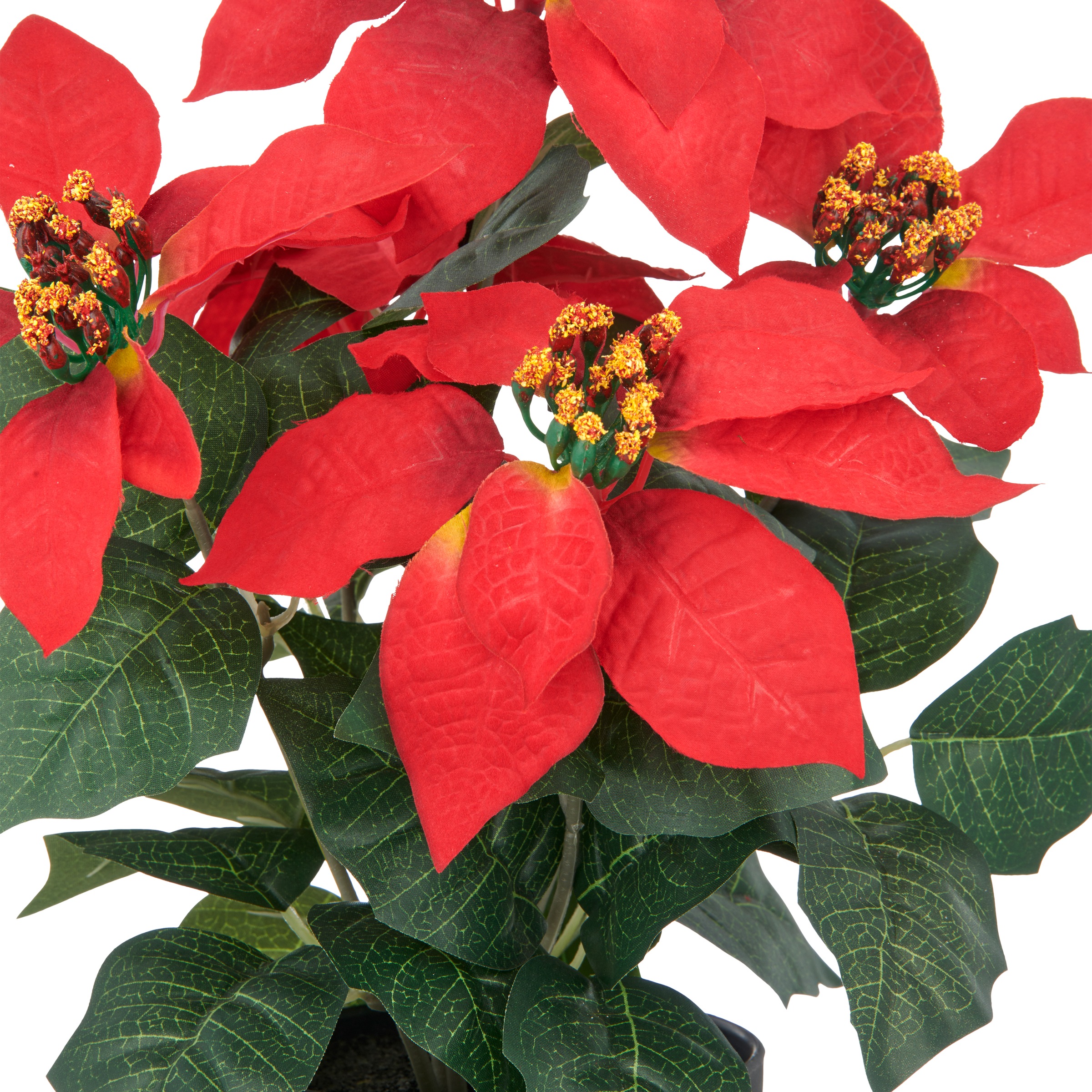 Creativ green Kunstblume »Weihnachtsstern« mit üppiger Blütenpracht